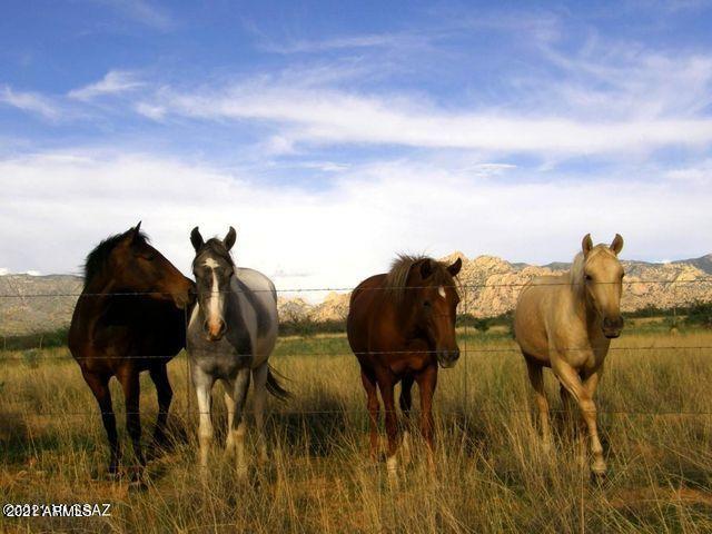 Tbd East Horse Ranch Road, Unit 54 St. David, AZ 85630 - Photo 10 of 16 20210208190819670060000000-o