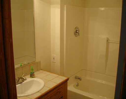 4356 Ellwood Road New Castle, PA 16101 - Photo 7 of 8 Master Bath/Spa.