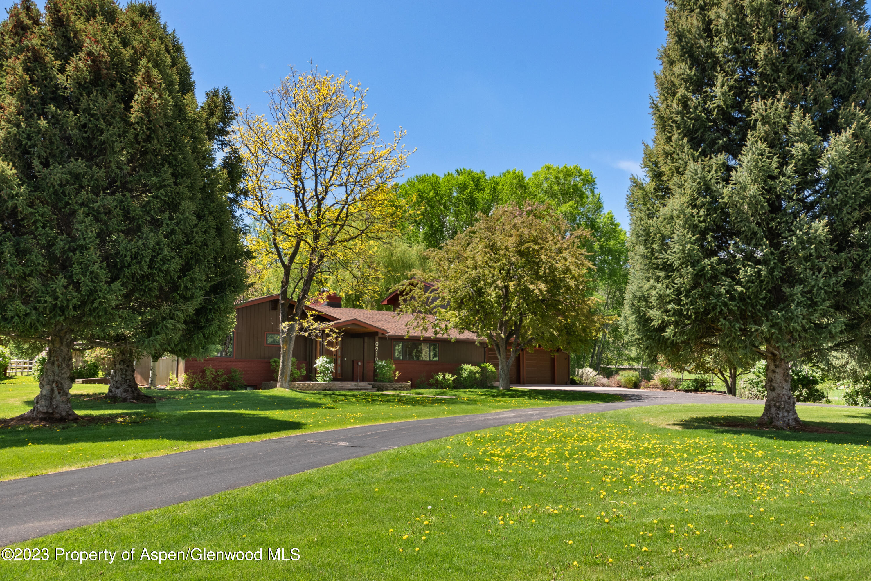 210 Horseshoe Drive Basalt, CO 81621 - Photo 50 of 52 a view of a park with large trees
