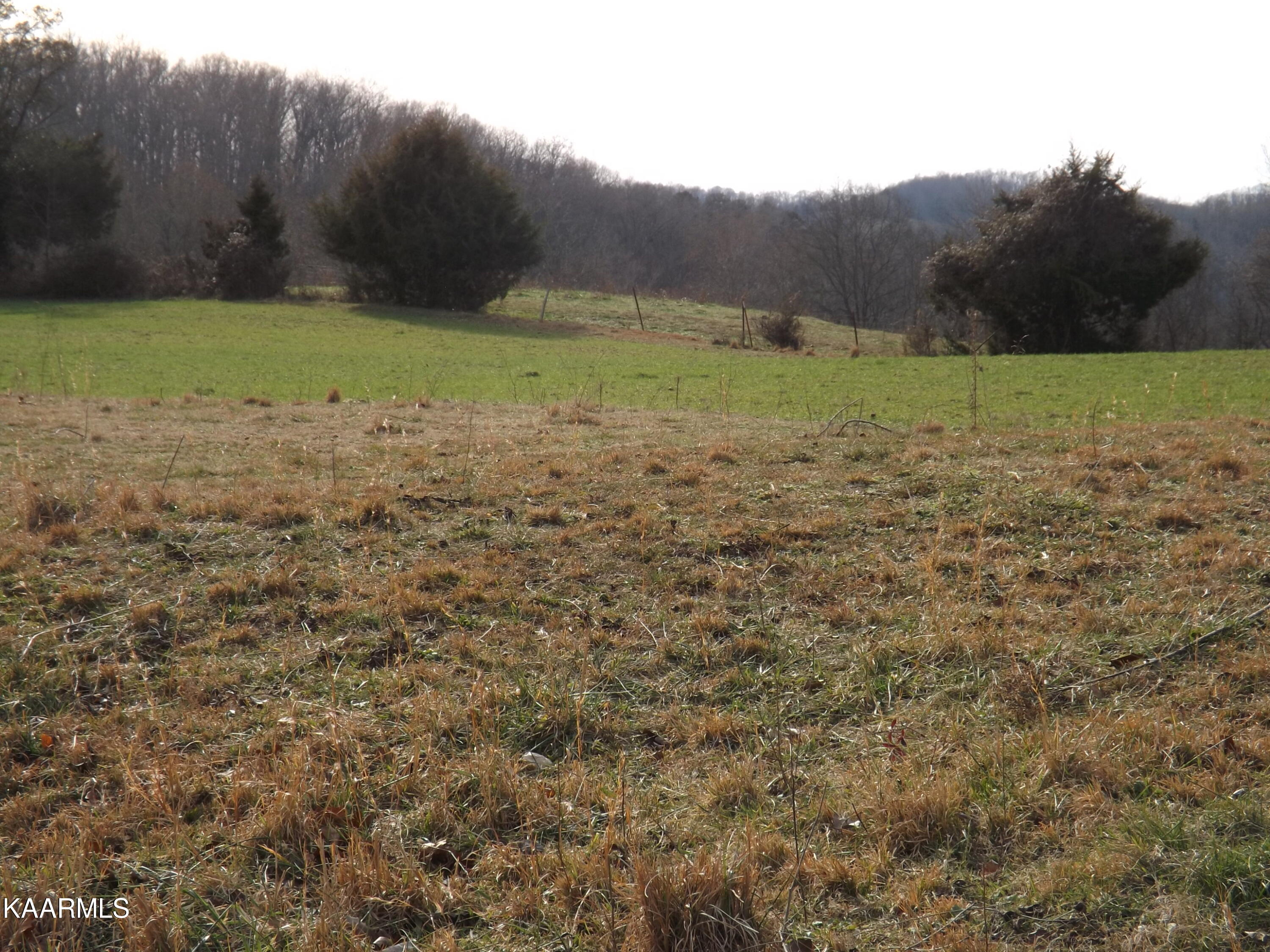 Ridge Road Tazewell, TN 37879 - Photo 11 of 28 DSCF9618