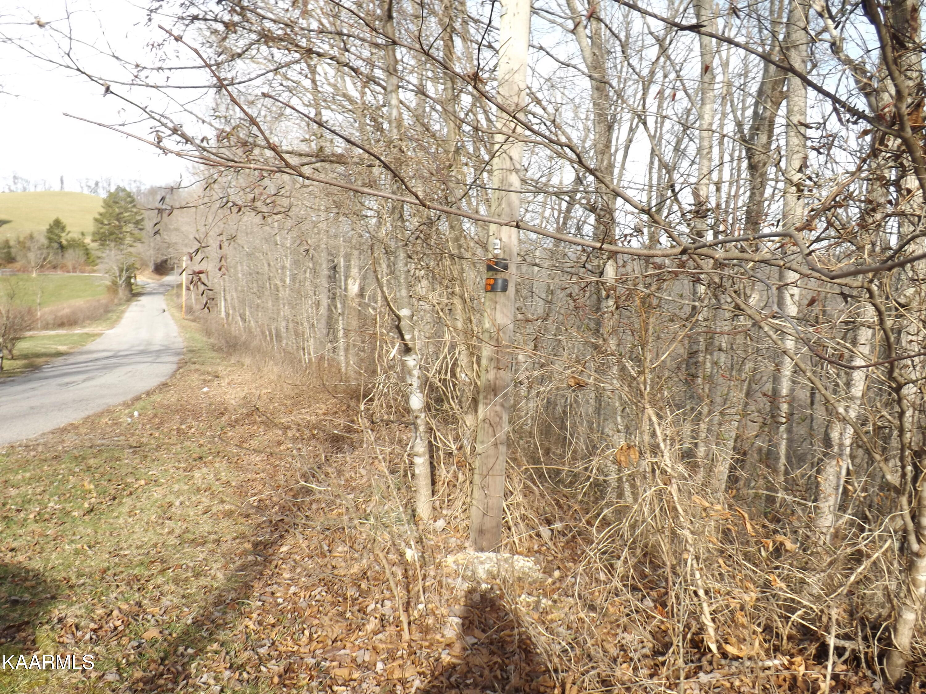 Ridge Road Tazewell, TN 37879 - Photo 13 of 28 DSCF9589 - Copy - Copy (2)