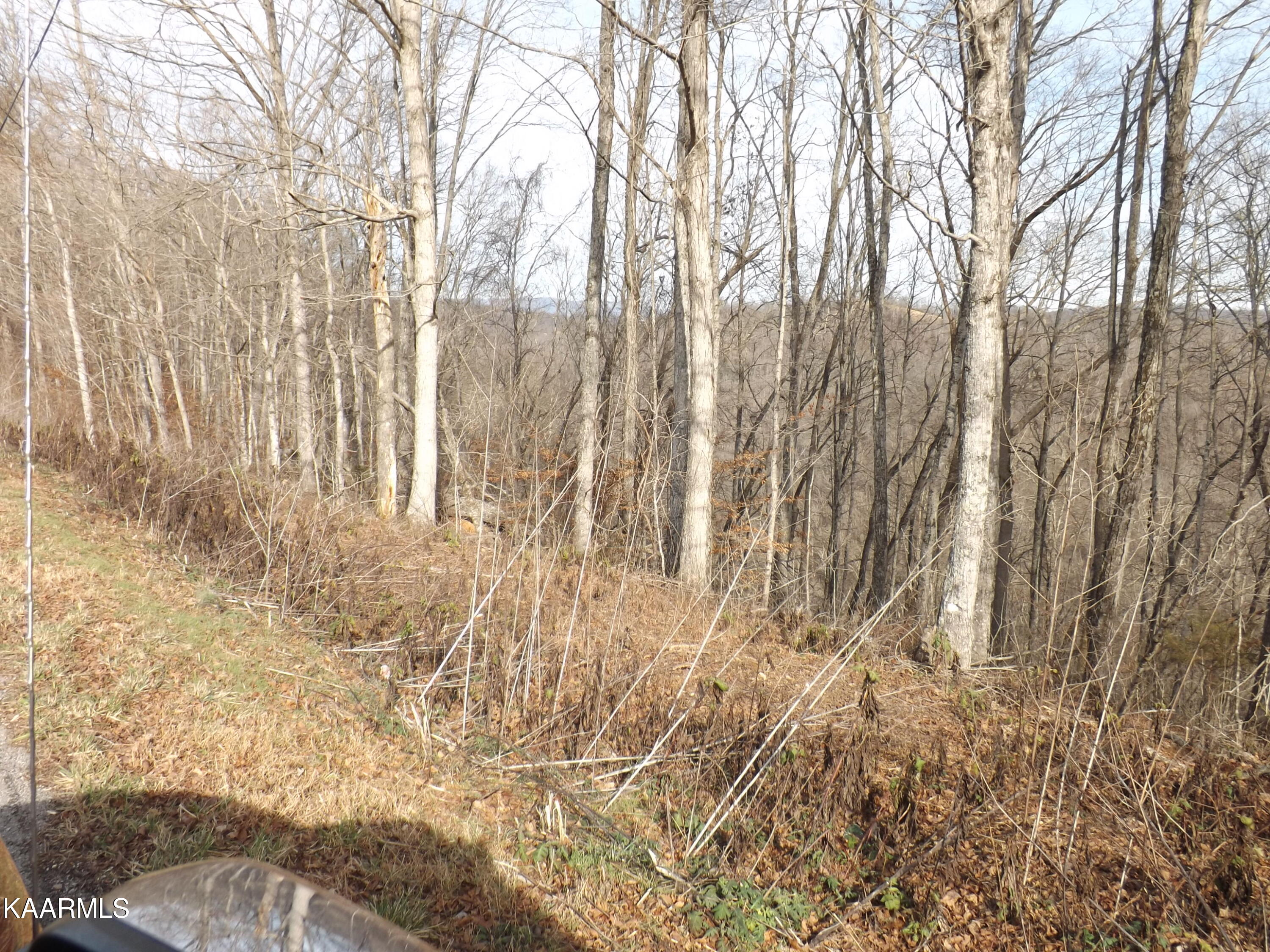Ridge Road Tazewell, TN 37879 - Photo 15 of 28 DSCF9593 - Copy - Copy - Copy