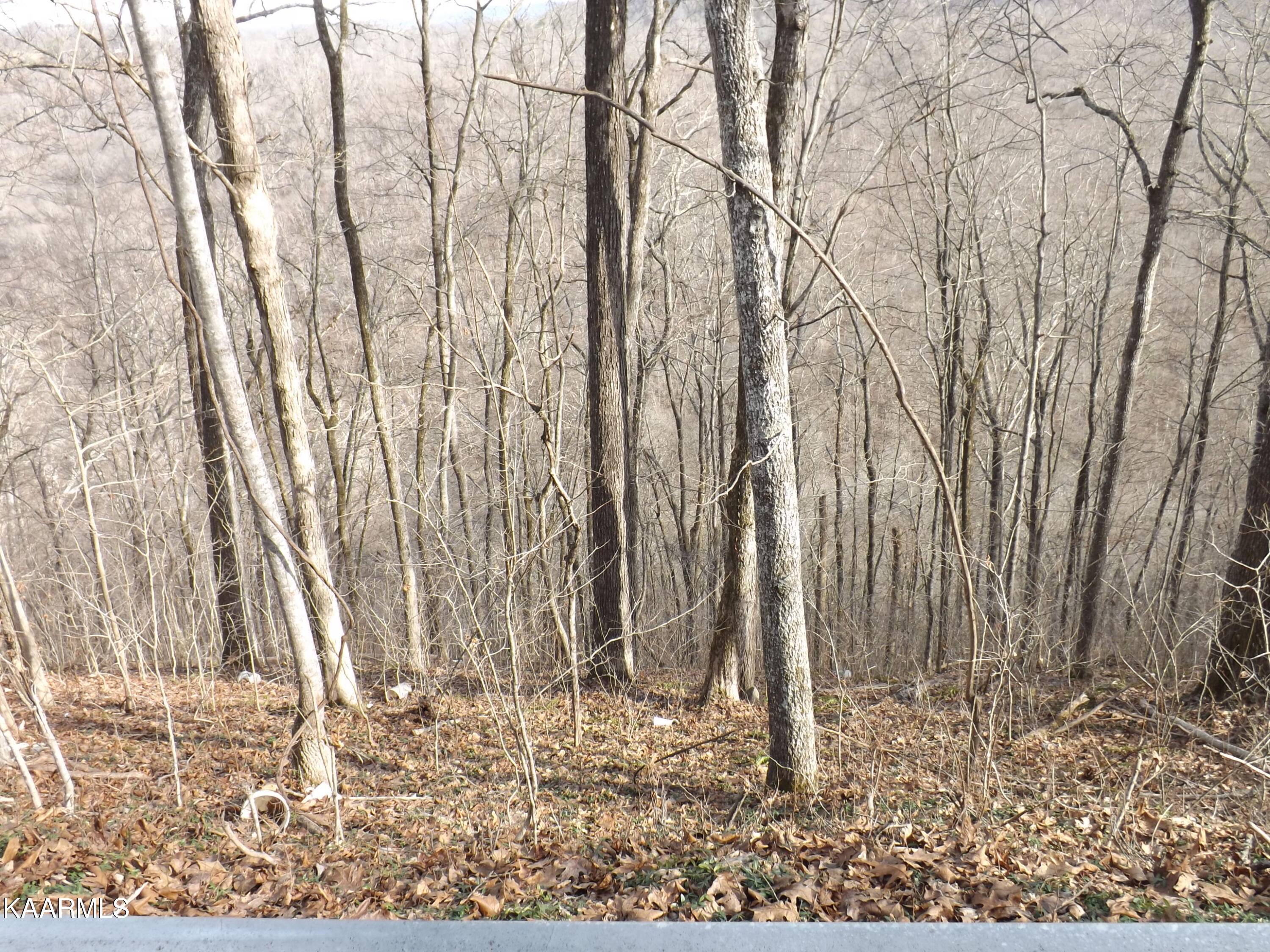 Ridge Road Tazewell, TN 37879 - Photo 16 of 28 DSCF9594 - Copy - Copy - Copy