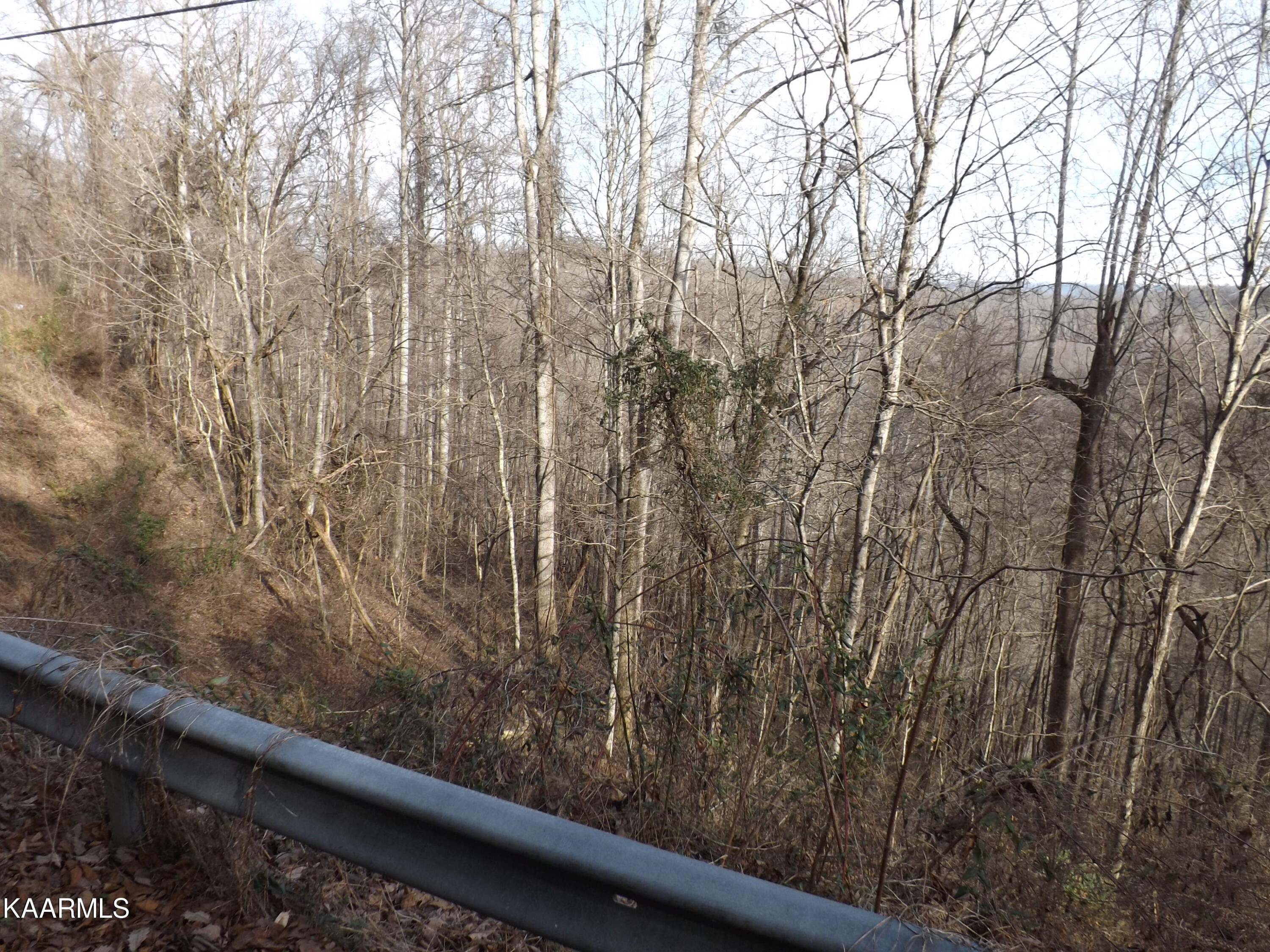 Ridge Road Tazewell, TN 37879 - Photo 18 of 28 DSCF9598 - Copy