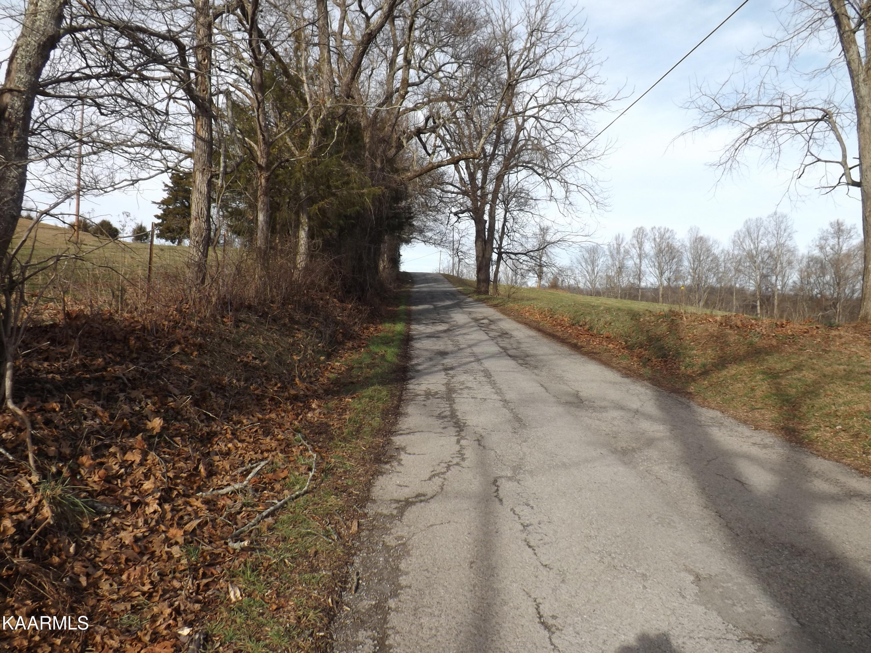 Ridge Road Tazewell, TN 37879 - Photo 20 of 28 DSCF9608 - Copy - Copy