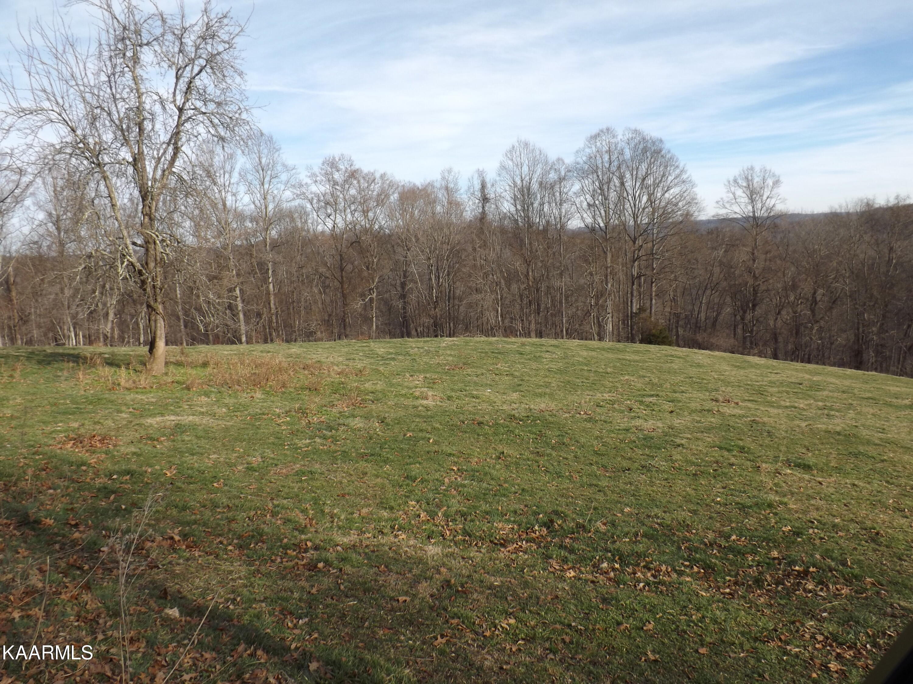 Ridge Road Tazewell, TN 37879 - Photo 21 of 28 DSCF9610 - Copy