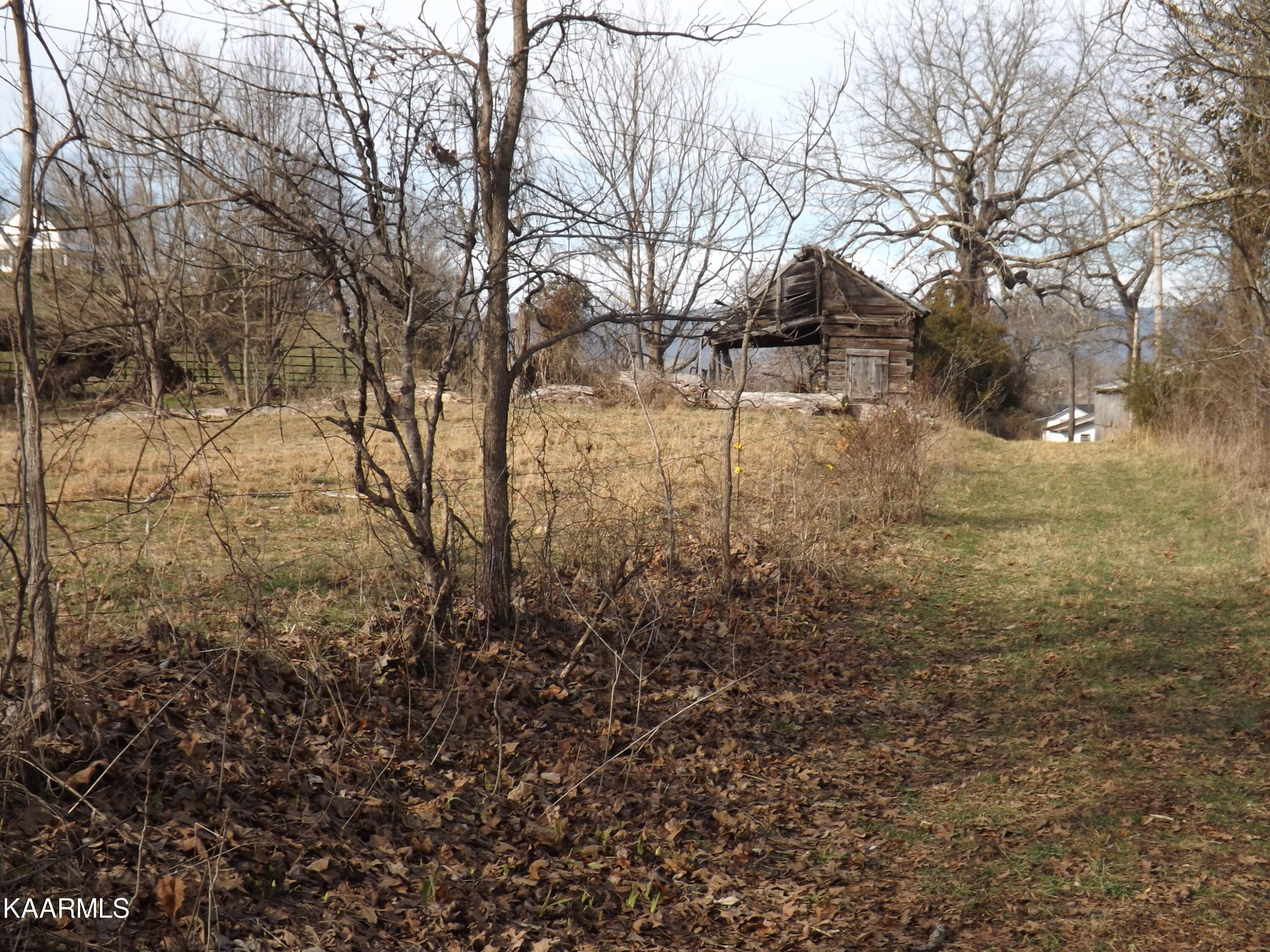 Ridge Road Tazewell, TN 37879 - Photo 3 of 28 DSCF9613 - Copy