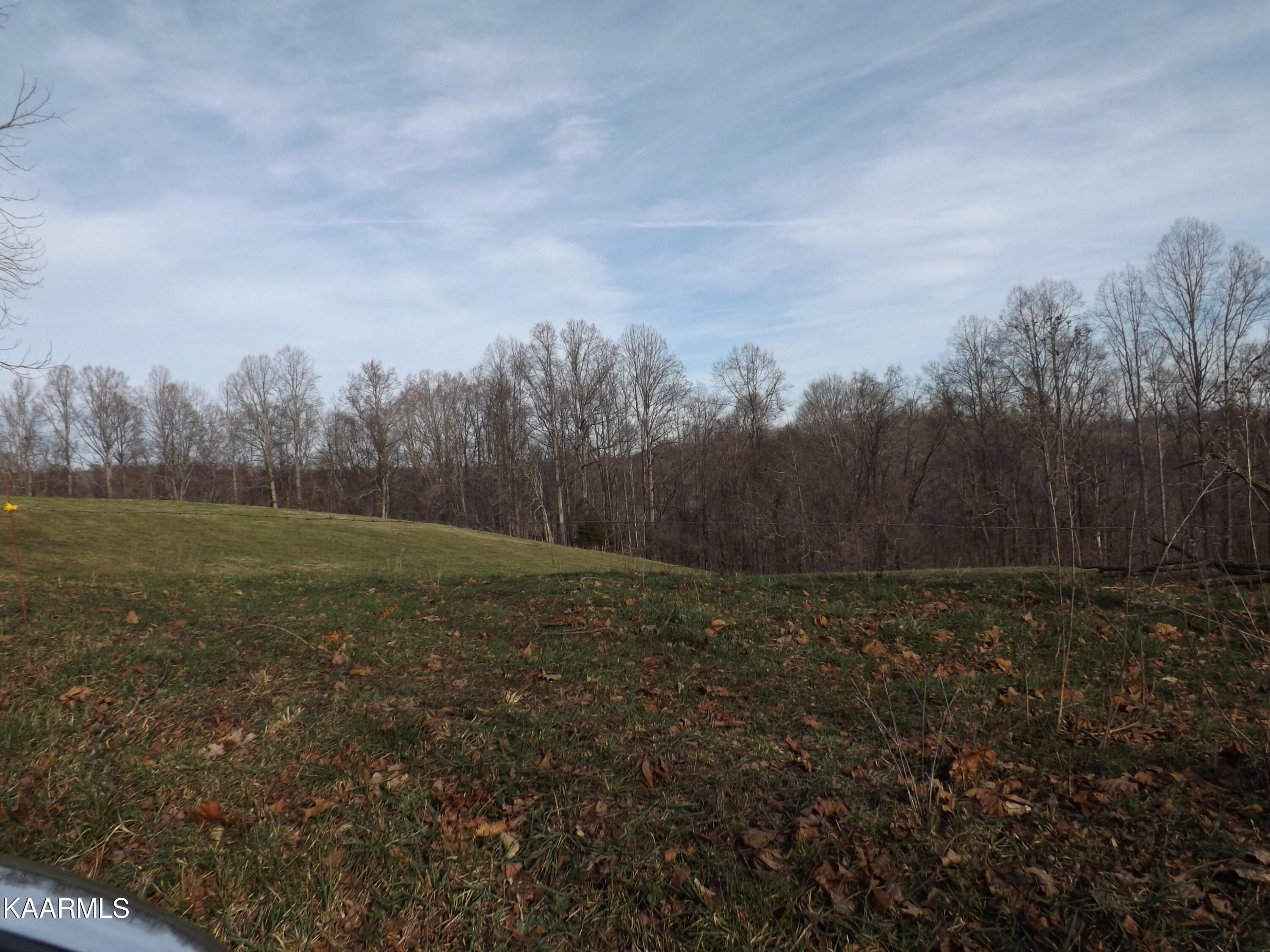 Ridge Road Tazewell, TN 37879 - Photo 6 of 28 DSCF9602 - Copy - Copy - Copy