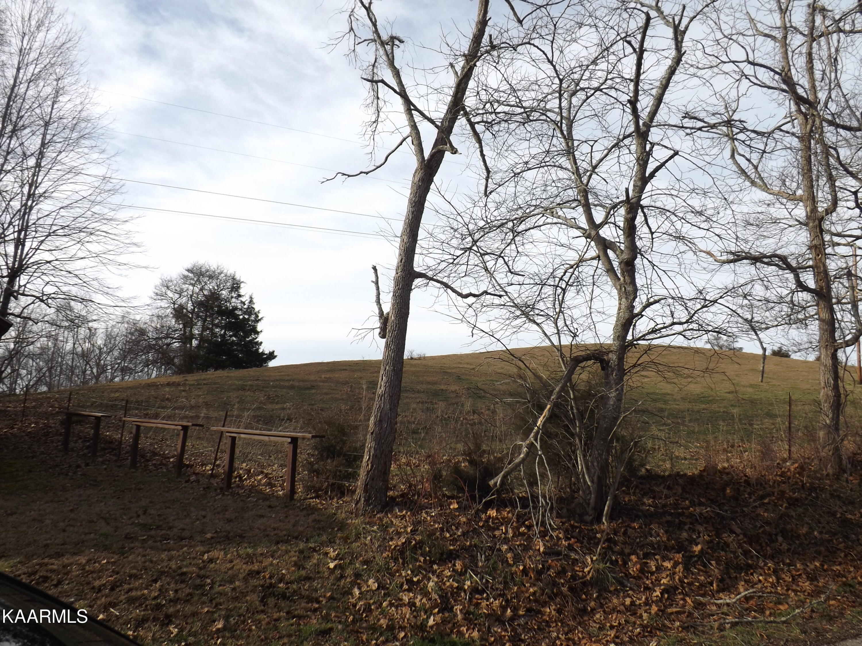 Ridge Road Tazewell, TN 37879 - Photo 7 of 28 DSCF9604 - Copy - Copy - Copy