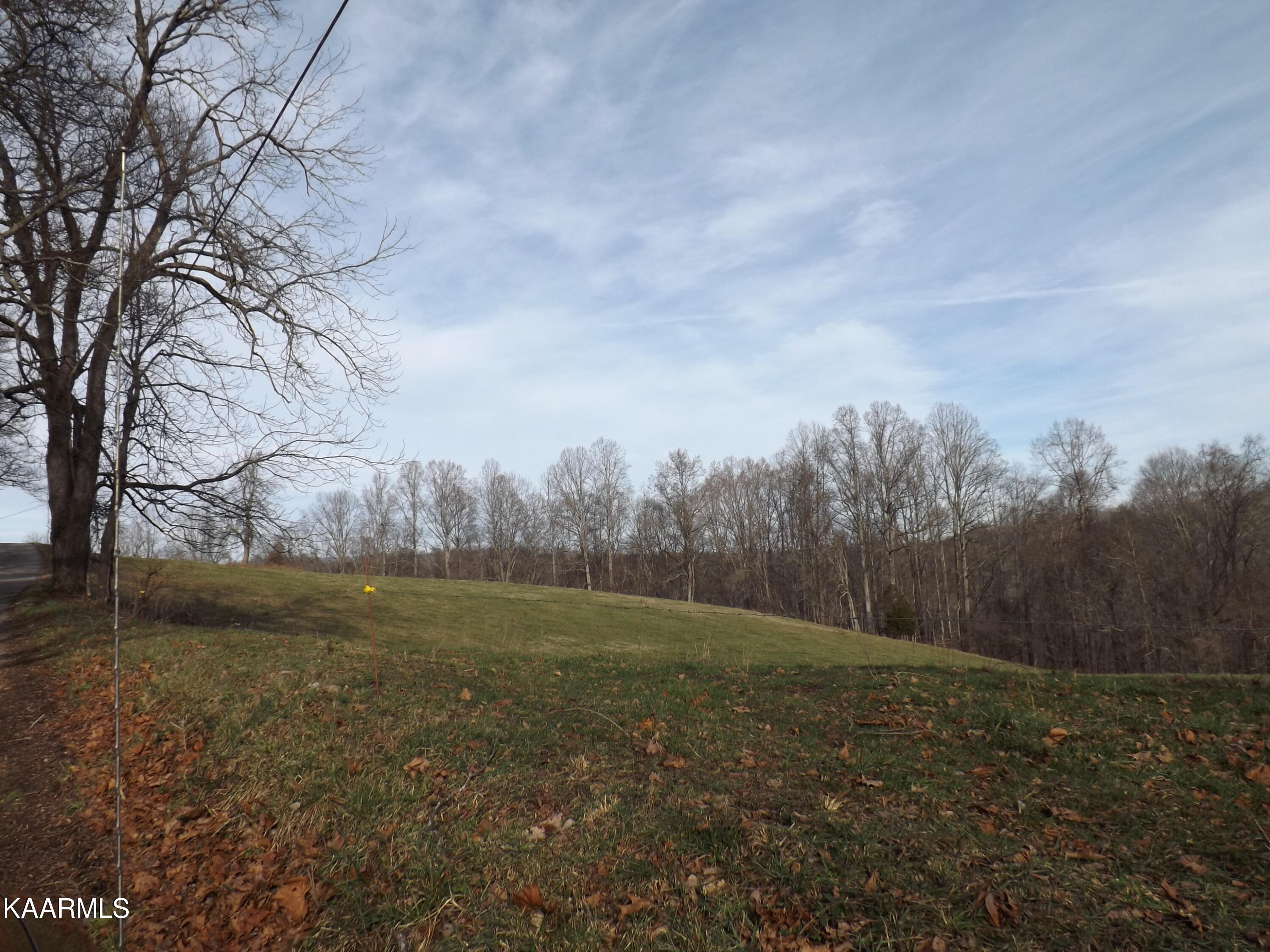 Ridge Road Tazewell, TN 37879 - Photo 8 of 28 DSCF9603 - Copy (2)