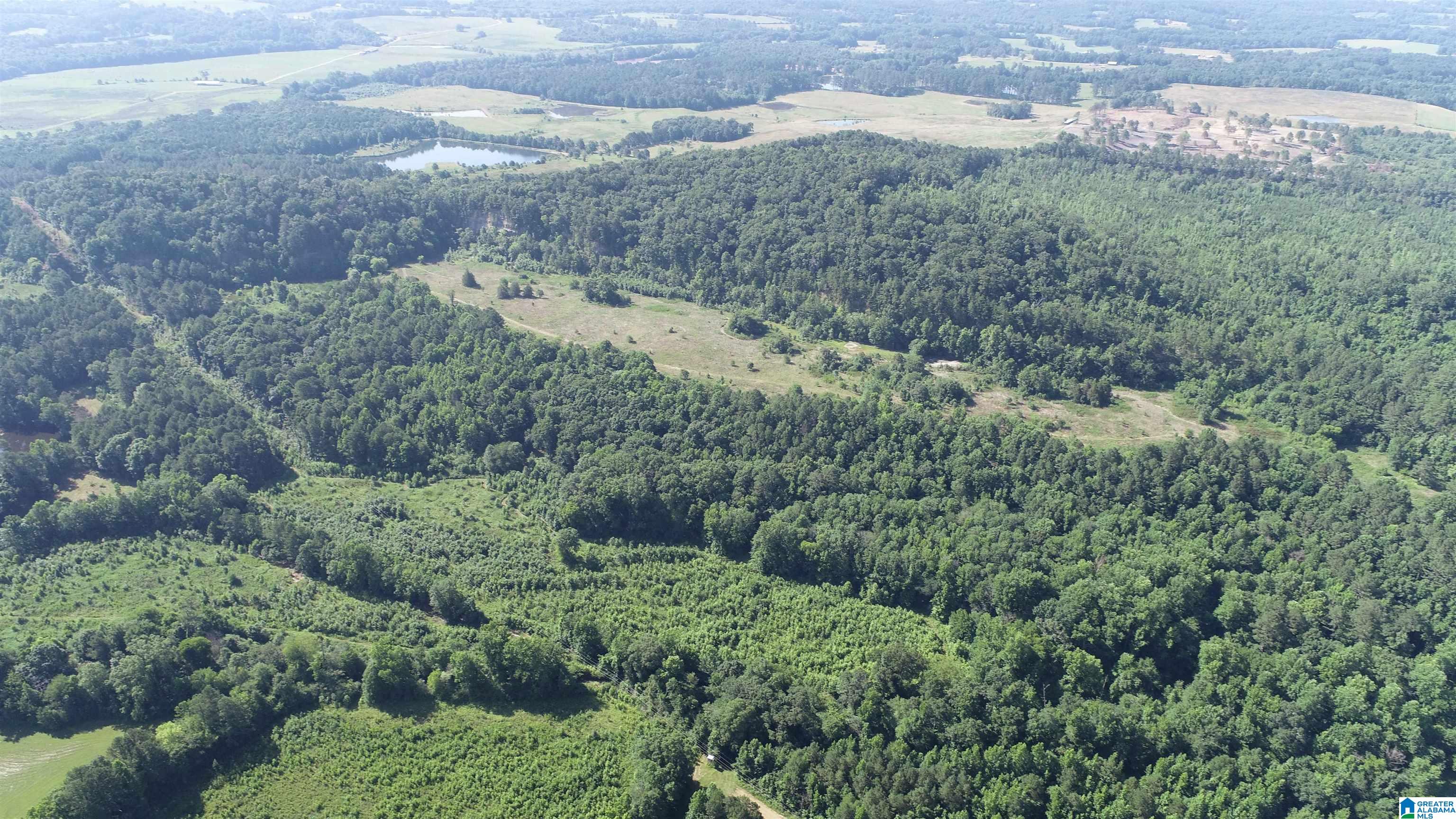 0 Highway 231, Unit 88 / AC Cleveland, AL 35049 - Photo 8 of 20