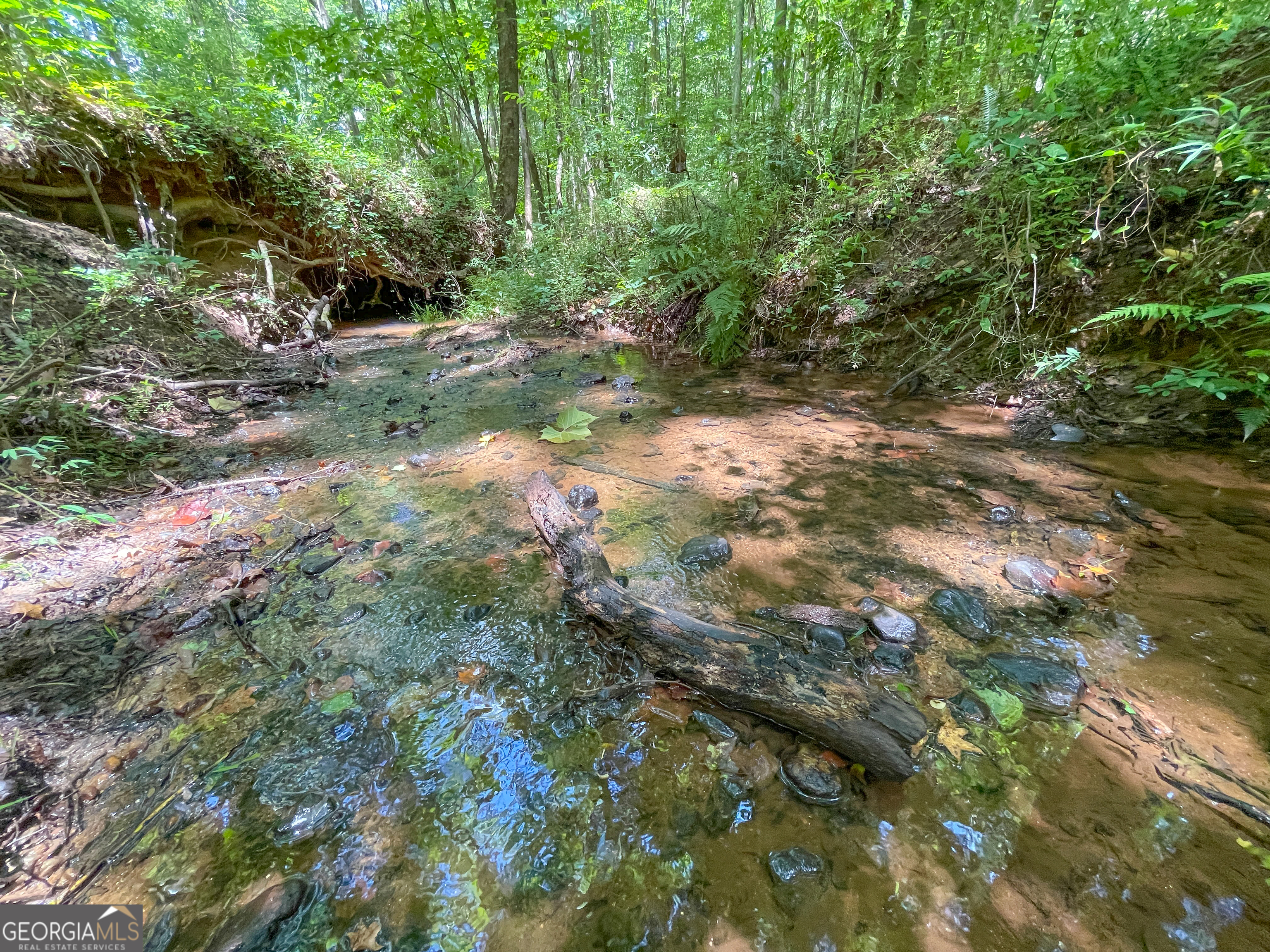 305 West Drive Roopville, GA 30170 - Photo 11 of 70