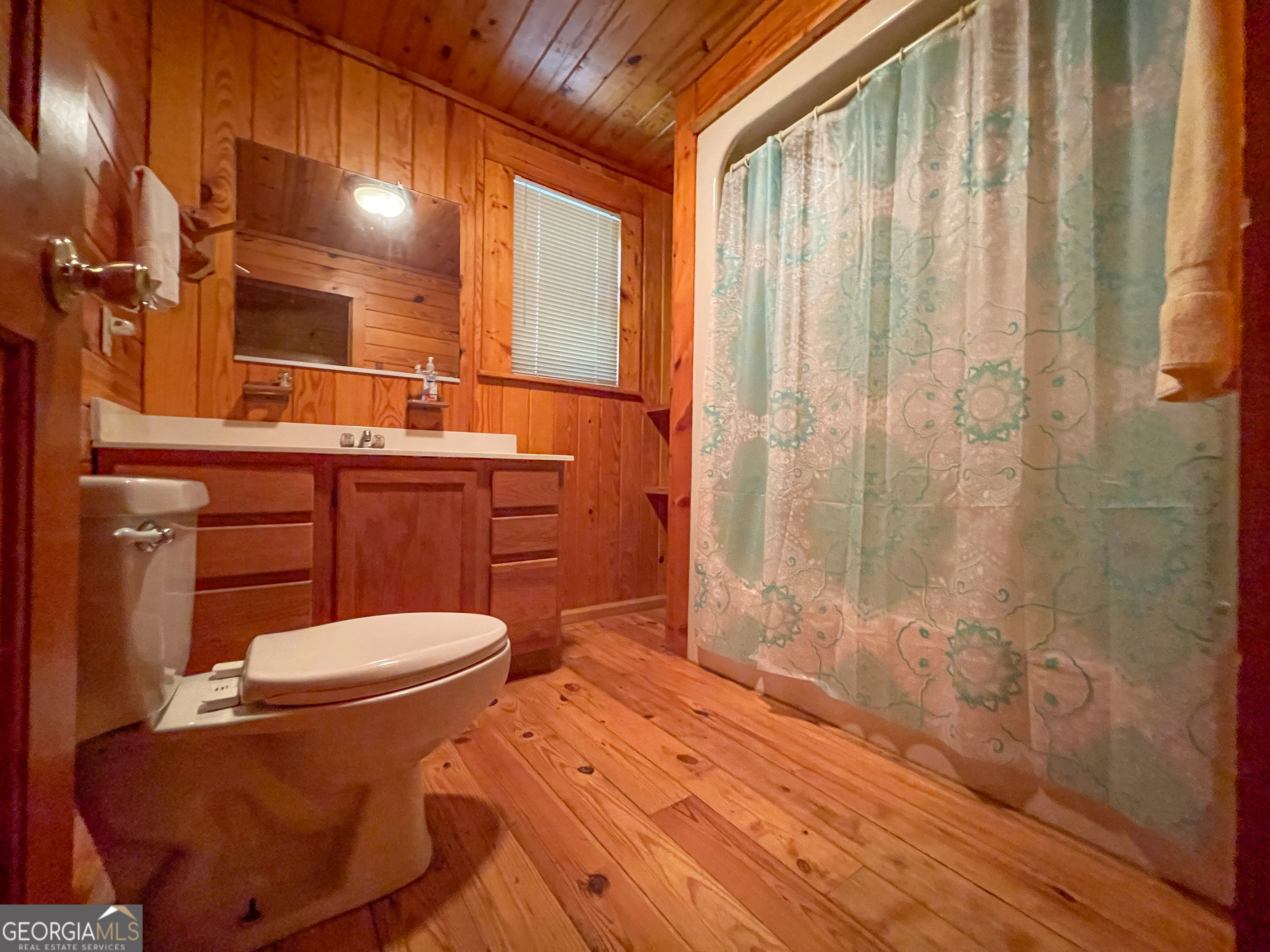 305 West Drive Roopville, GA 30170 - Photo 33 of 70 a bathroom with a toilet a sink and shower
