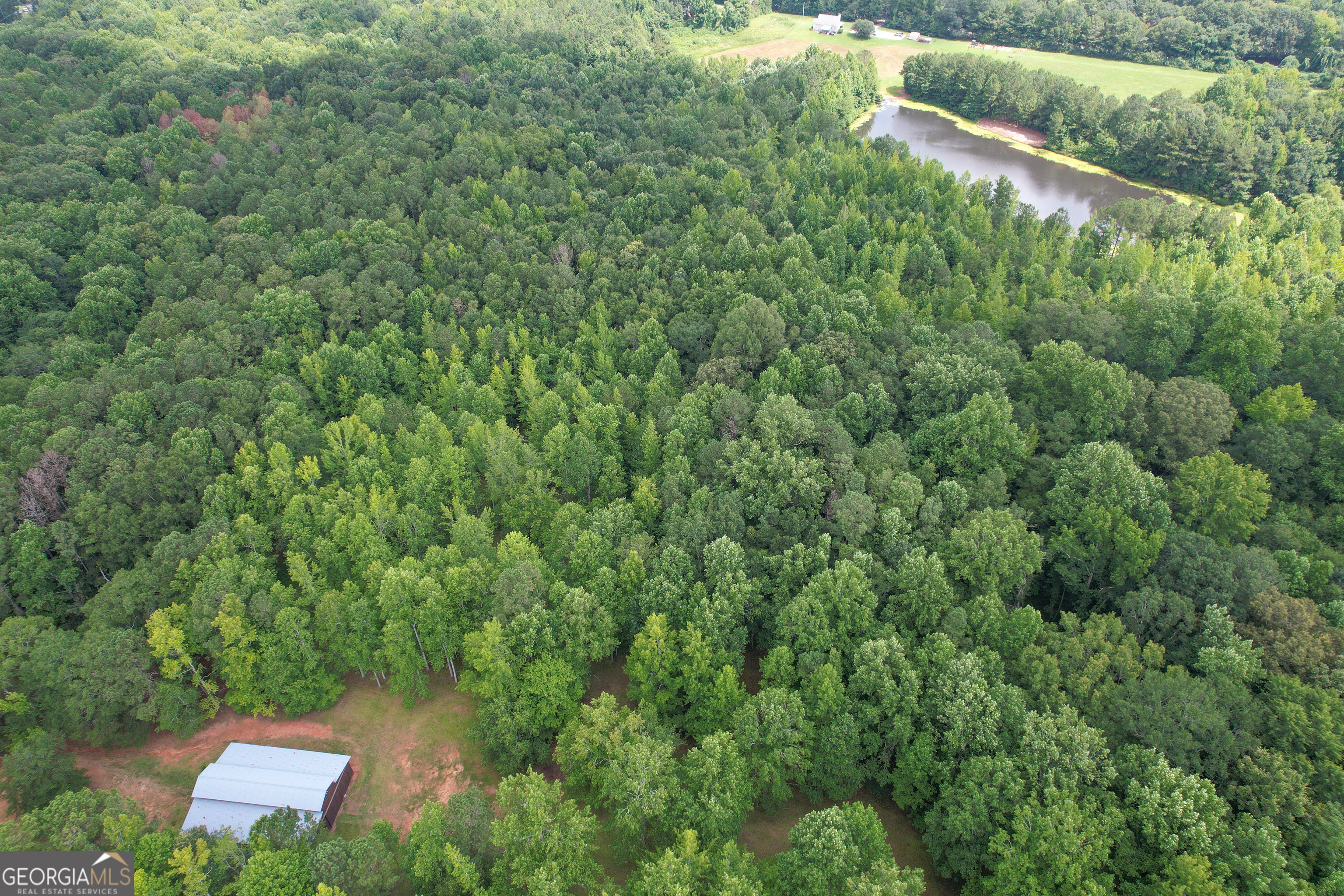 305 West Drive Roopville, GA 30170 - Photo 59 of 70 an aerial view of a house with a yard