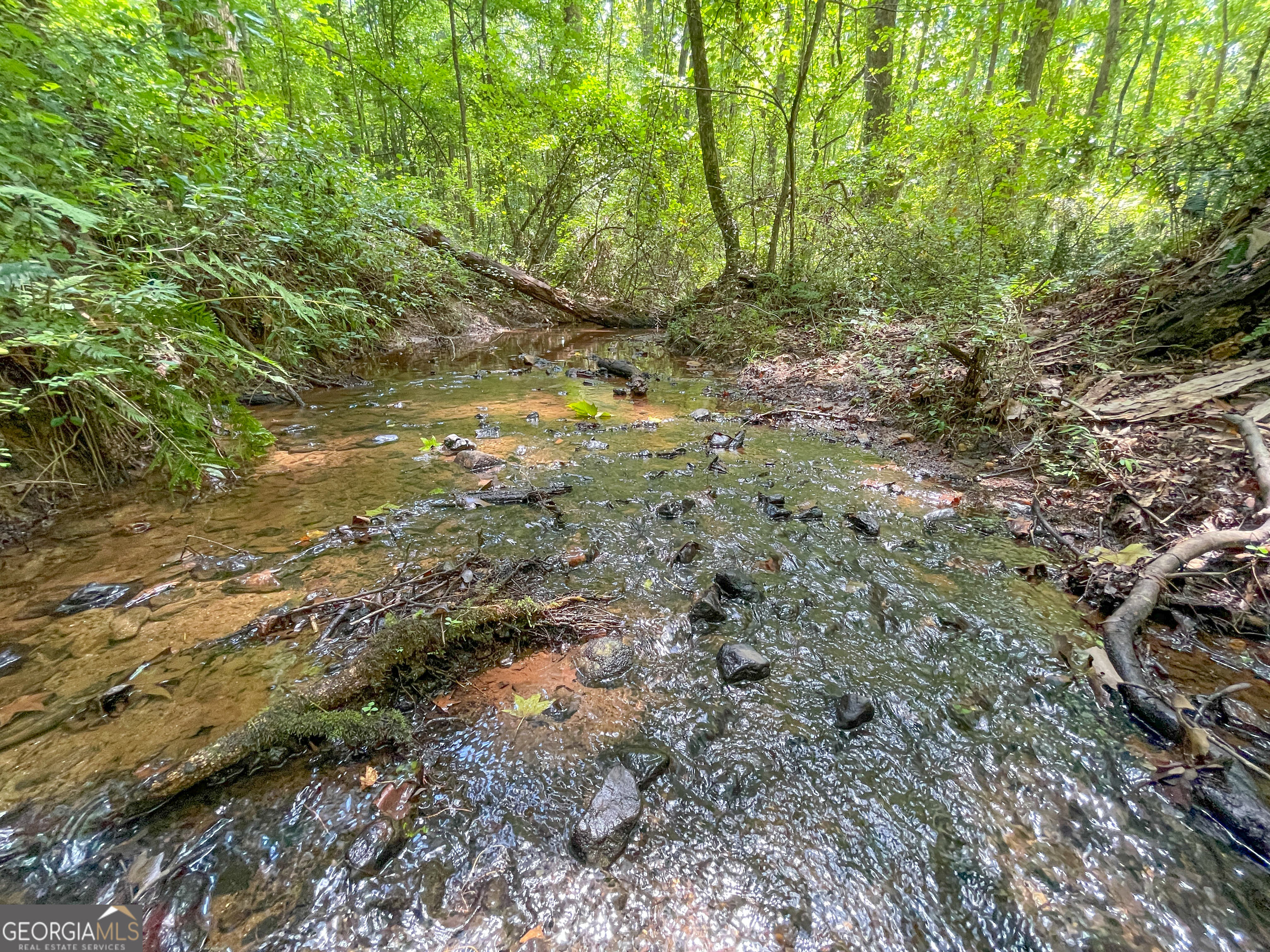 305 West Drive Roopville, GA 30170 - Photo 6 of 70 a view of outdoor space with green space