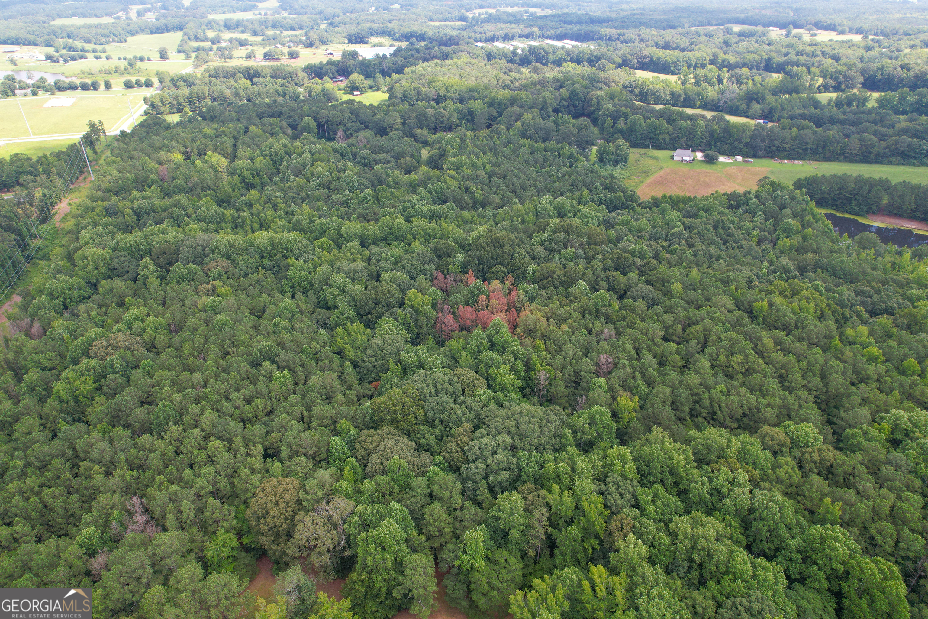305 West Drive Roopville, GA 30170 - Photo 61 of 70 a view of lake