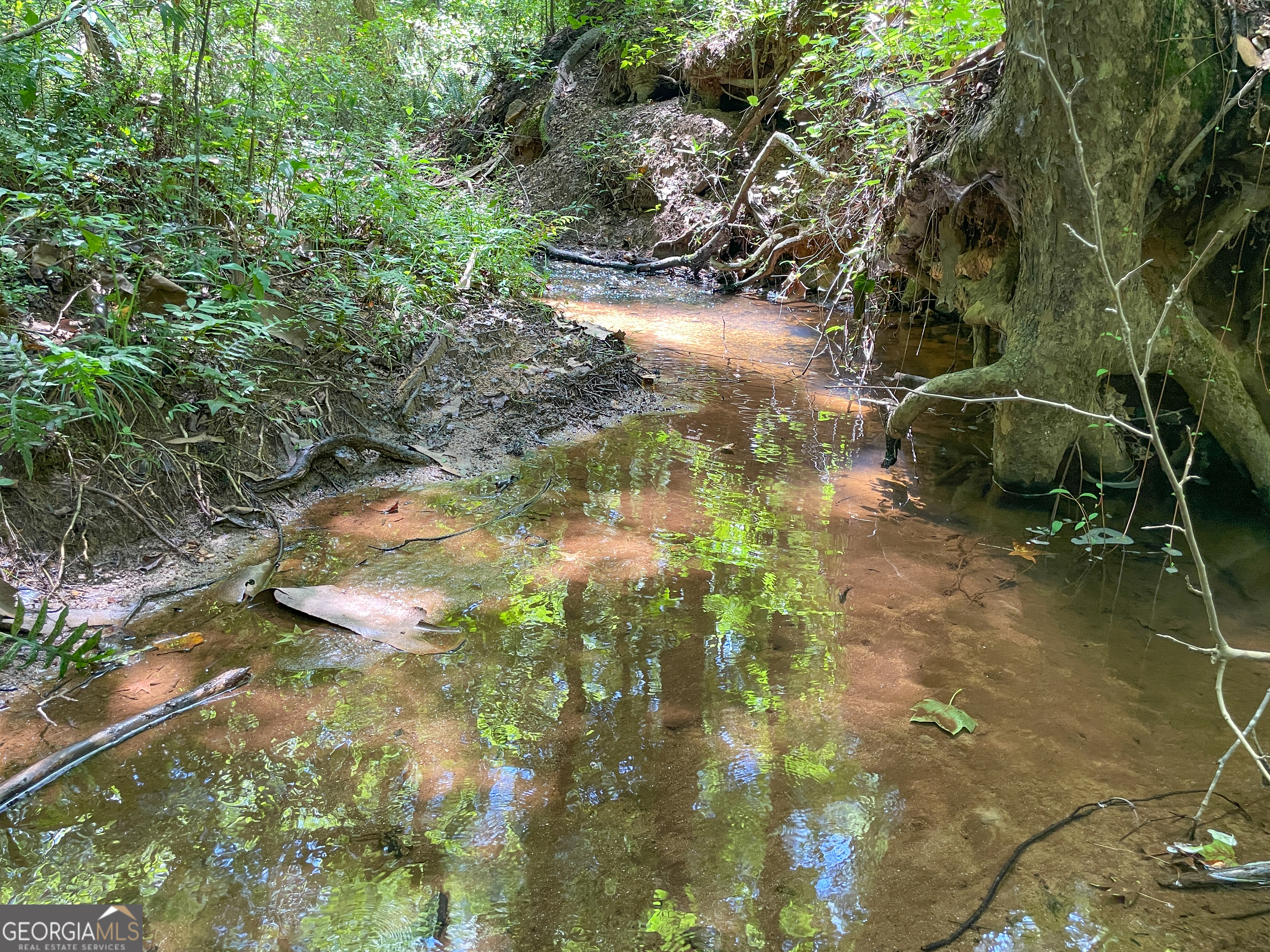 305 West Drive Roopville, GA 30170 - Photo 63 of 70 a view of lake from a yard