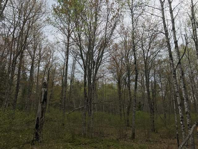 16-acres River Road Eagle River, WI 54521 - Photo 2 of 8 Gallery Image 2