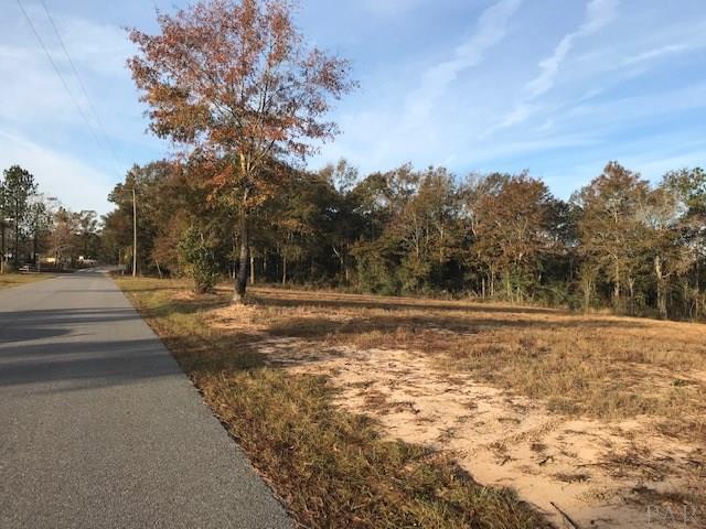 2011 10 Mile Road Pace, FL 32571 - Photo 8 of 11 Street view to the South