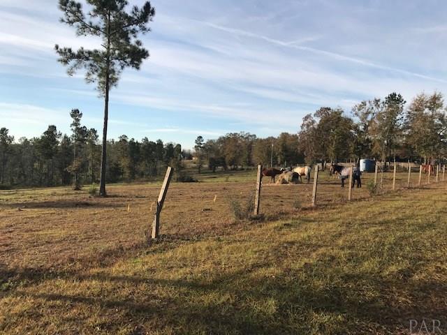 2011 10 Mile Road Pace, FL 32571 - Photo 10 of 11 View from across the street