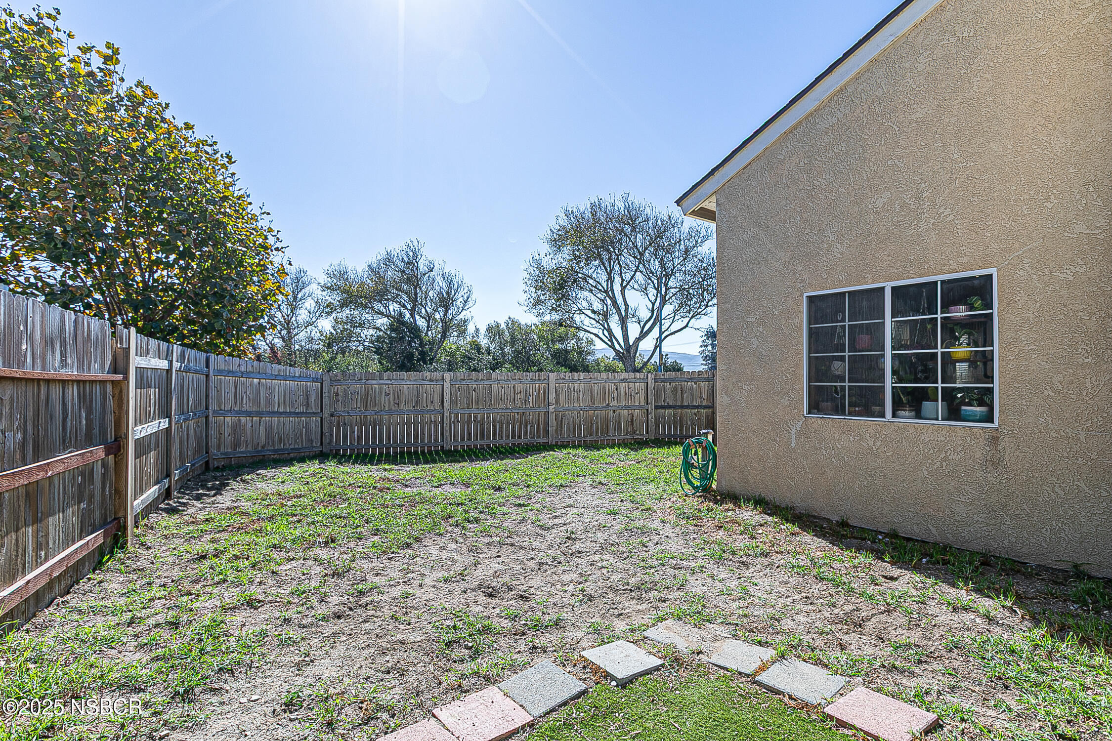 1320 Marigold Way Lompoc, CA 93436 - Photo 29 of 42 a view of a backyard with a potted plant and a large tree