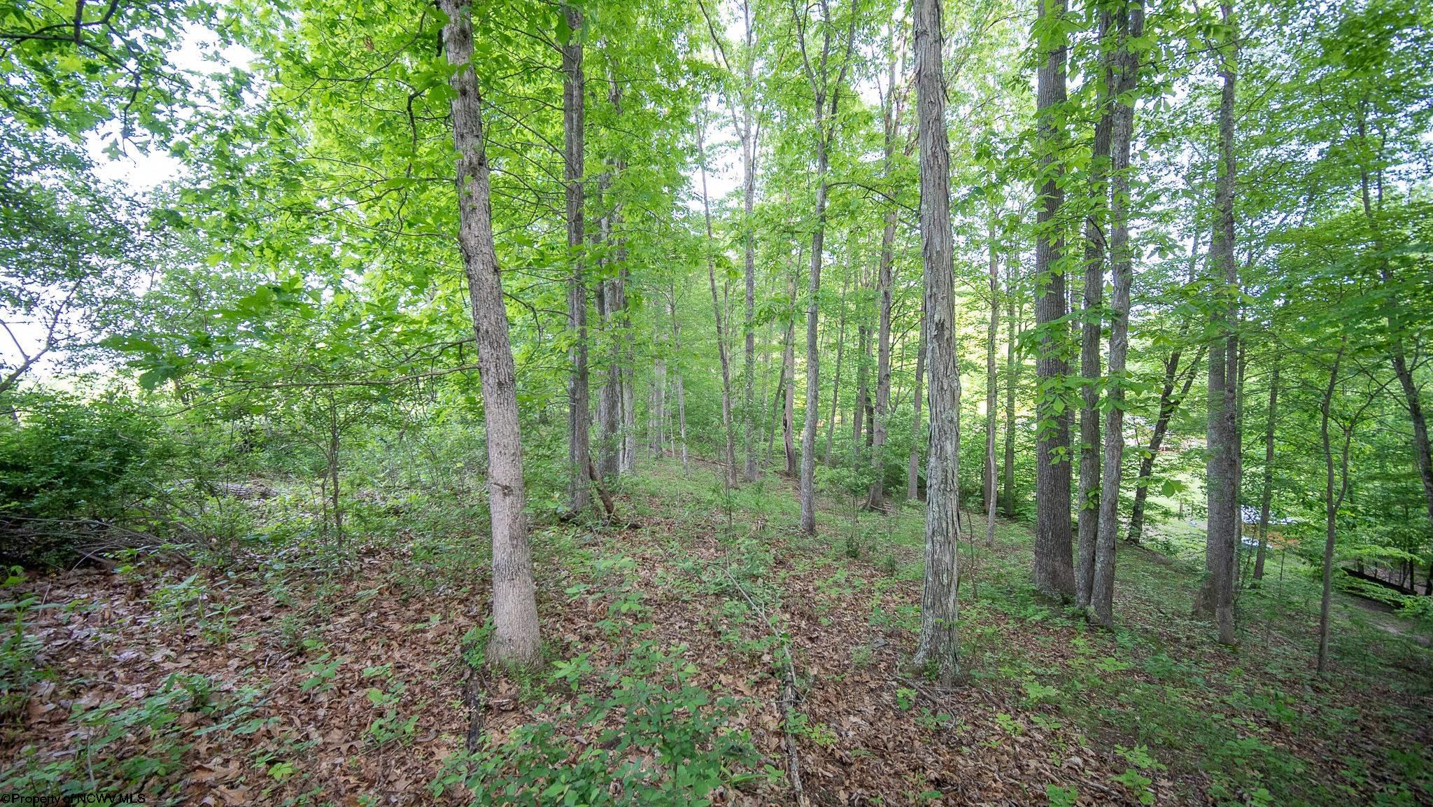 Lot 4 Rocco Run Walkersville, WV 26447 - Photo 25 of 27 Gallery Image 25