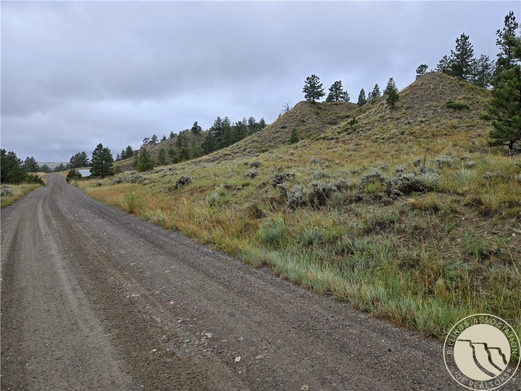16 Mountain View Road Molt, MT 59057 - Photo 10 of 19 Gallery Image 10