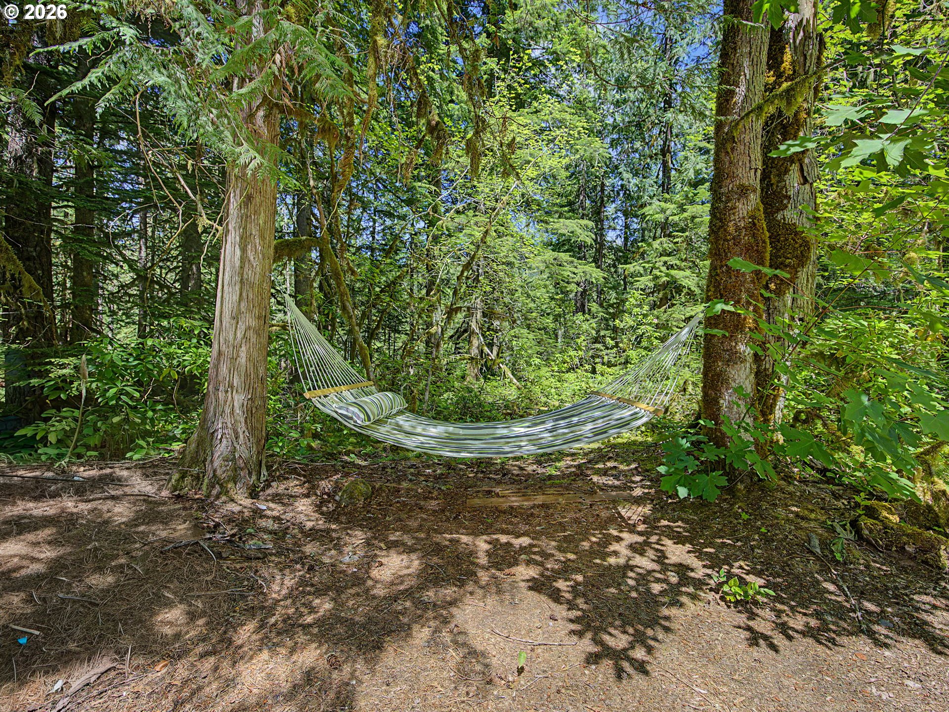 28548 Road 20 Rhododendron, OR 97049 - Photo 46 of 48