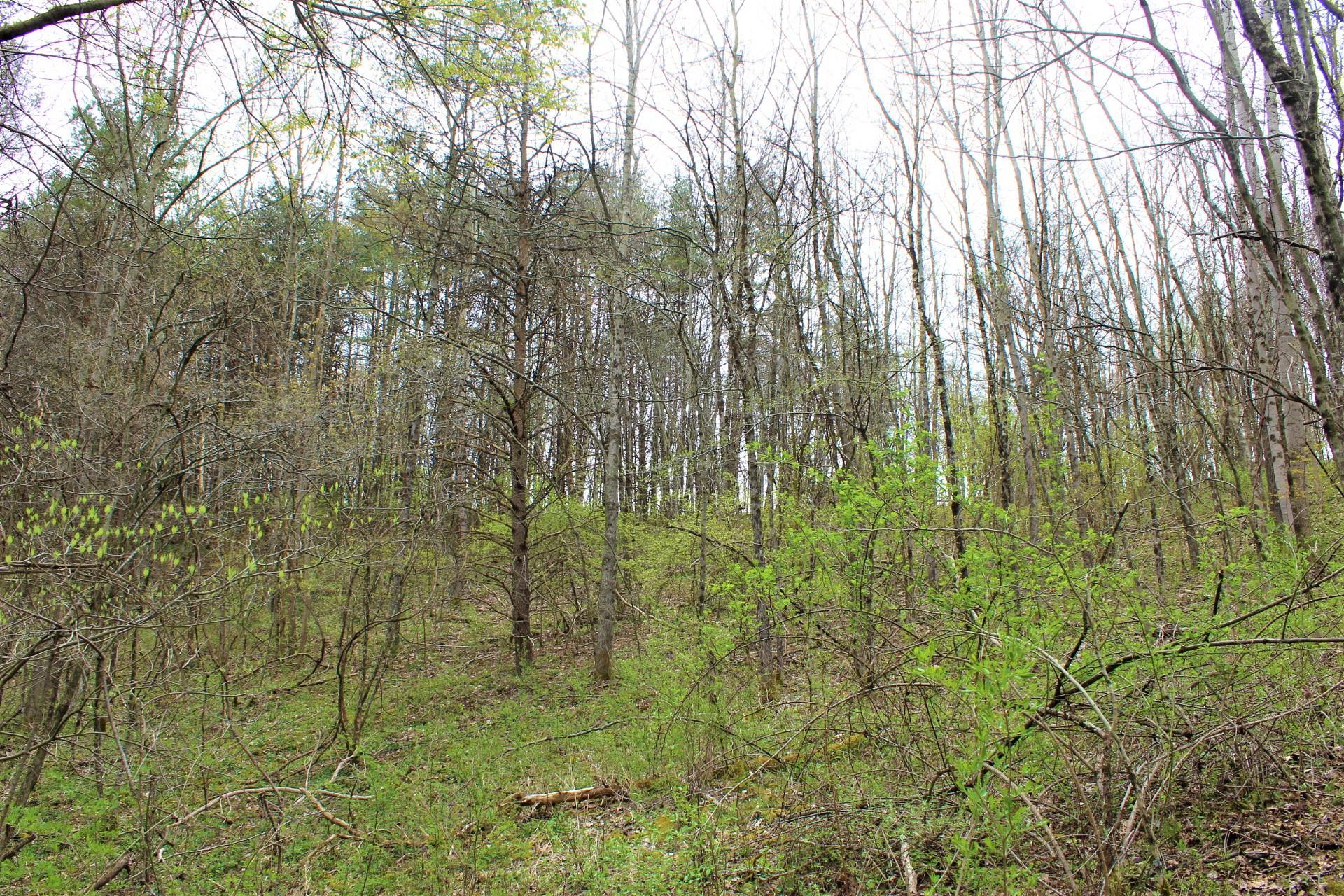 0 Moore Road Logan, OH 43138 - Photo 23 of 40 IMG_3214