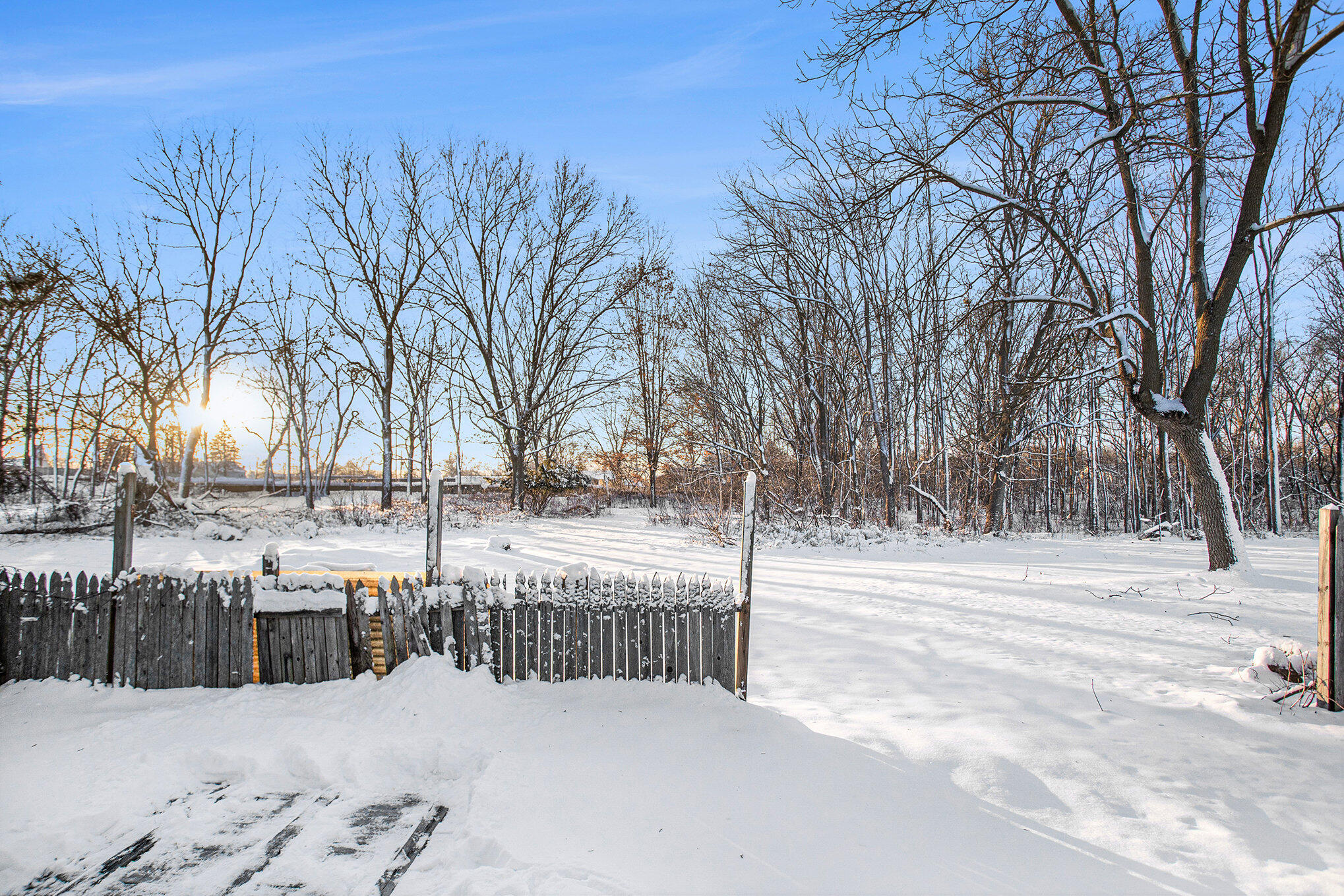 233 Reynolds Road Springfield, MI 49037 - Photo 15 of 17 Backyard