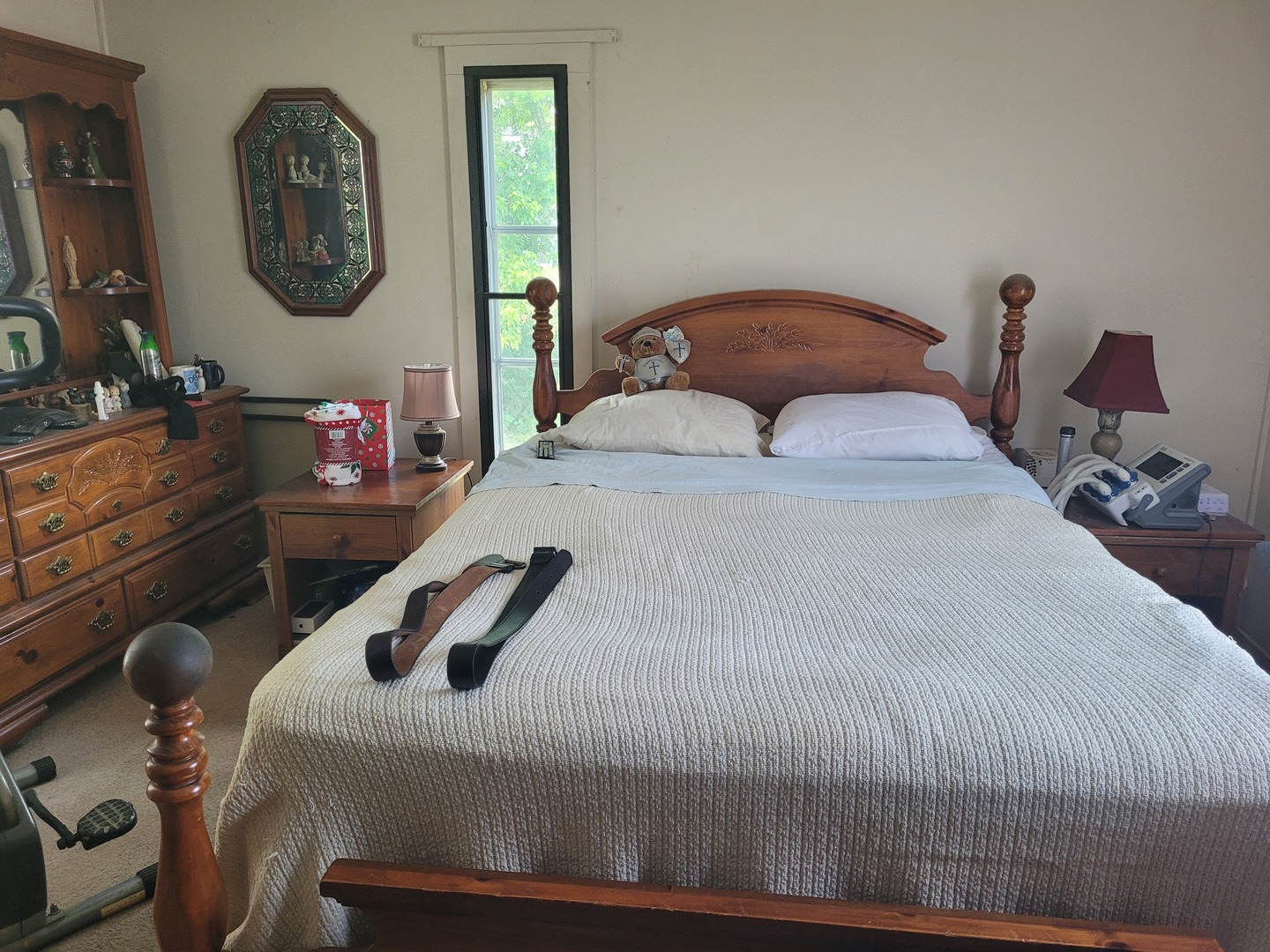 10 Meadowlark Lane Beecher, IL 60401 - Photo 15 of 19