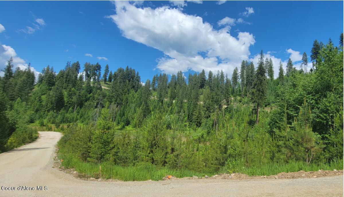 Tract 2 Road to North