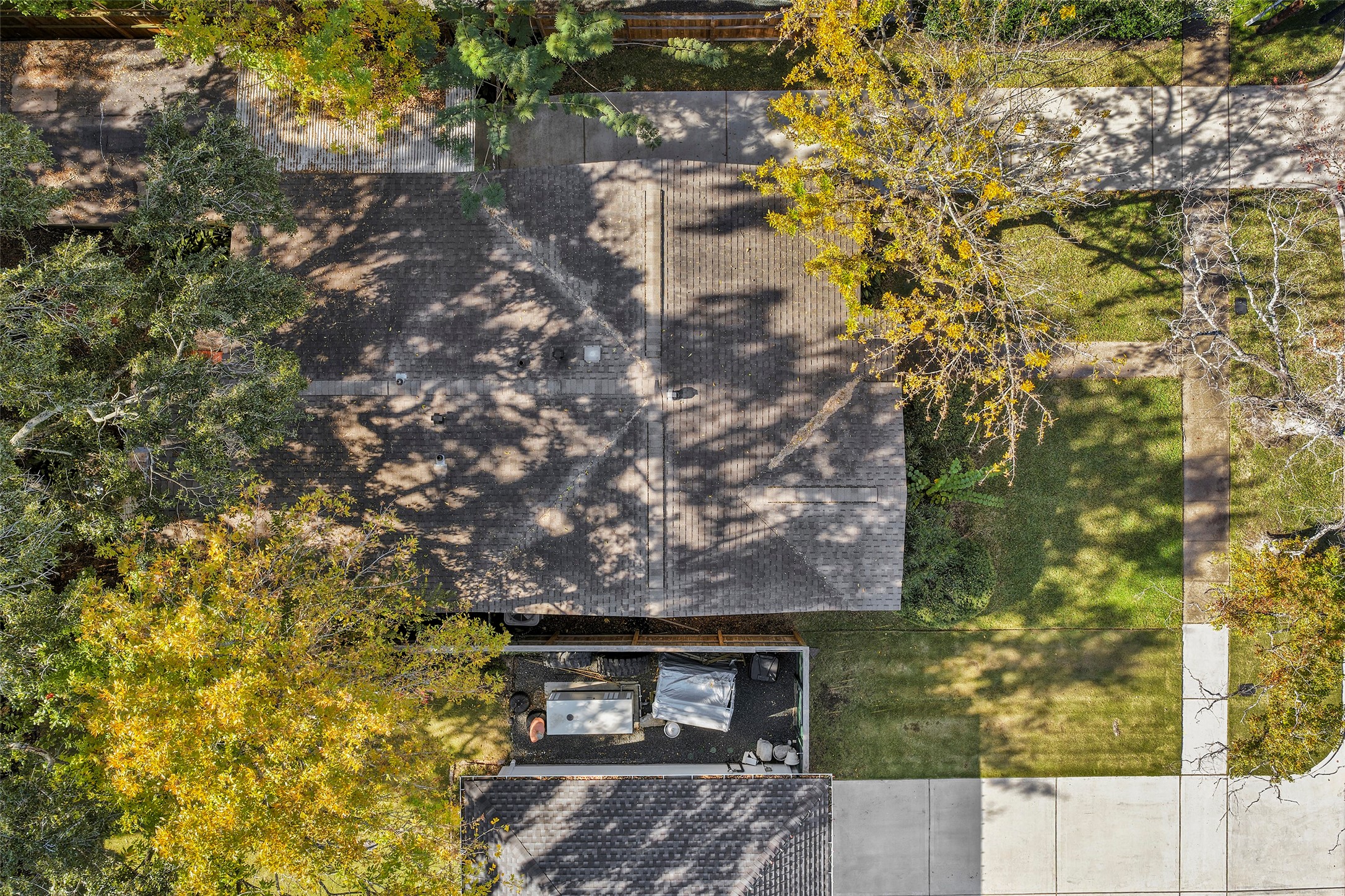 4111 Law Street West University Place, TX 77005 - Photo 28 of 29 a picture of a tree