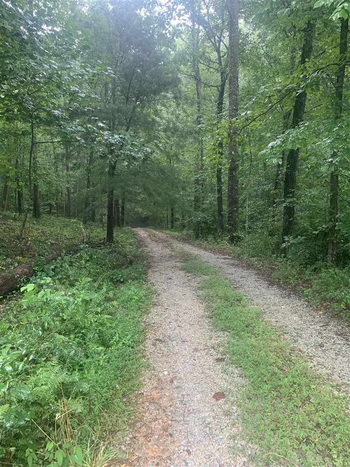 136 Buddy Nutt Road Waynesboro, TN 38485 - Photo 12 of 25 Gallery Image 12