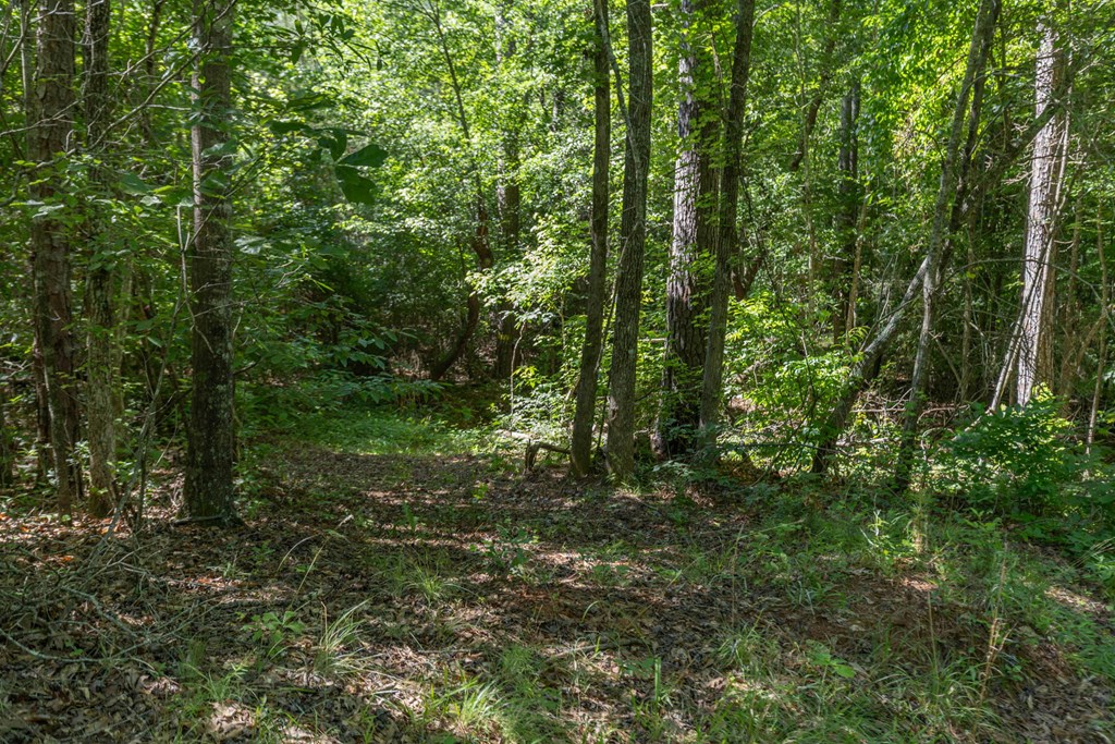 231 Lower Lovelace Road West Point, GA 31833 - Photo 33 of 49