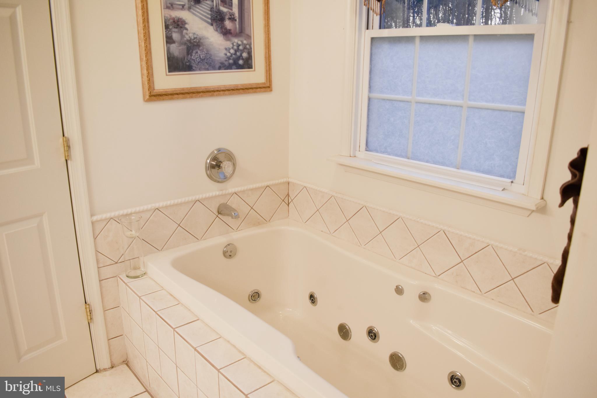 25596 Garey Road Denton, MD 21629 - Photo 33 of 54 Main Bath -Tub