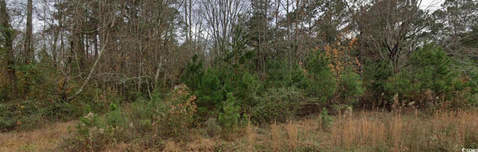 2940 Red Bluff Road Loris, SC 29569 - Photo 11 of 12