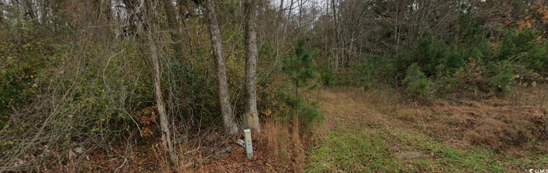 2940 Red Bluff Road Loris, SC 29569 - Photo 12 of 12