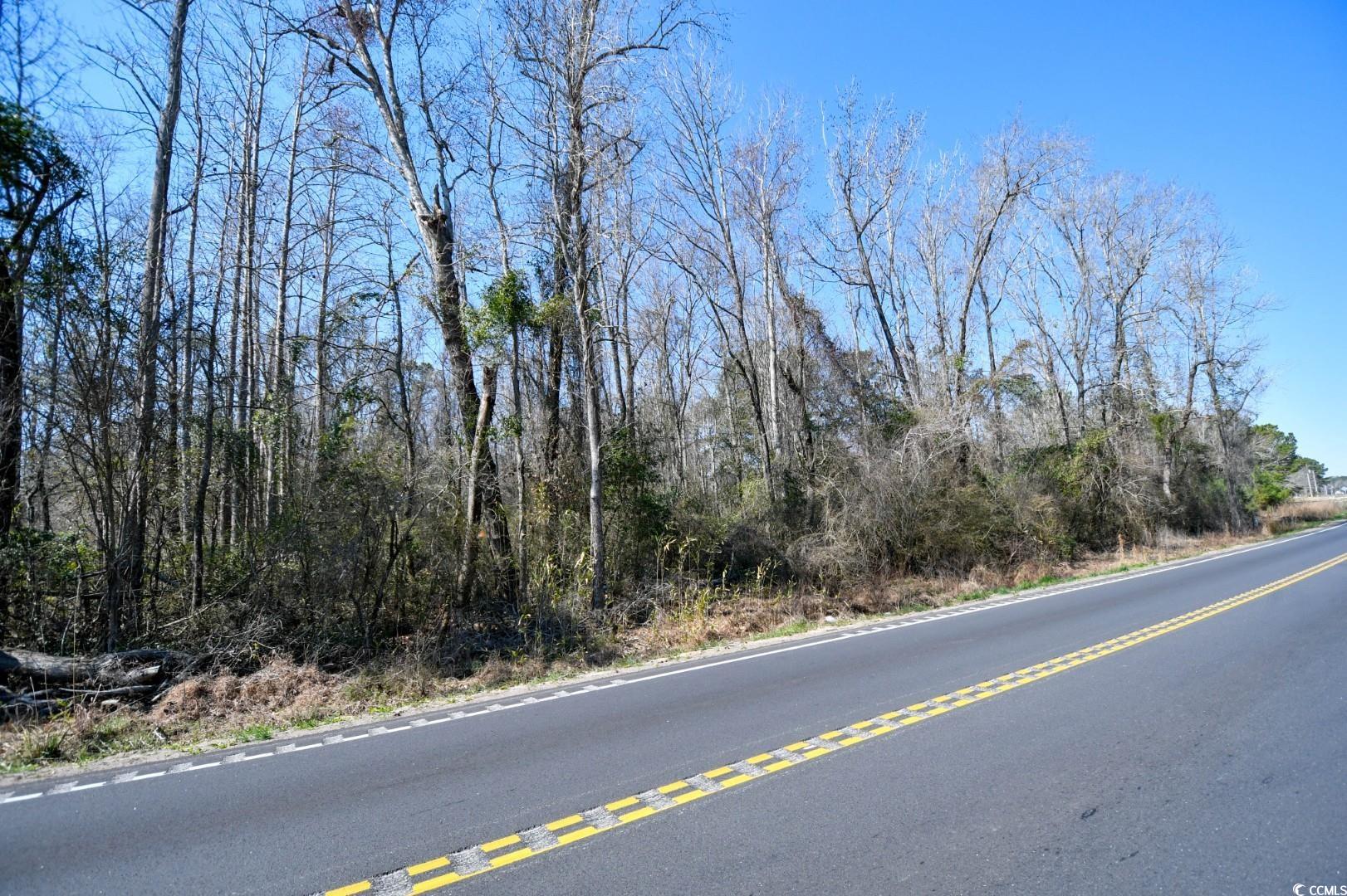 2940 Red Bluff Road Loris, SC 29569 - Photo 2 of 12
