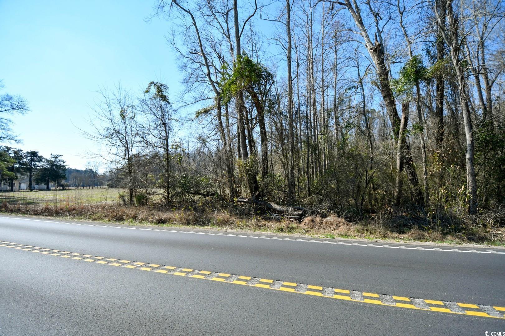 2940 Red Bluff Road Loris, SC 29569 - Photo 3 of 12