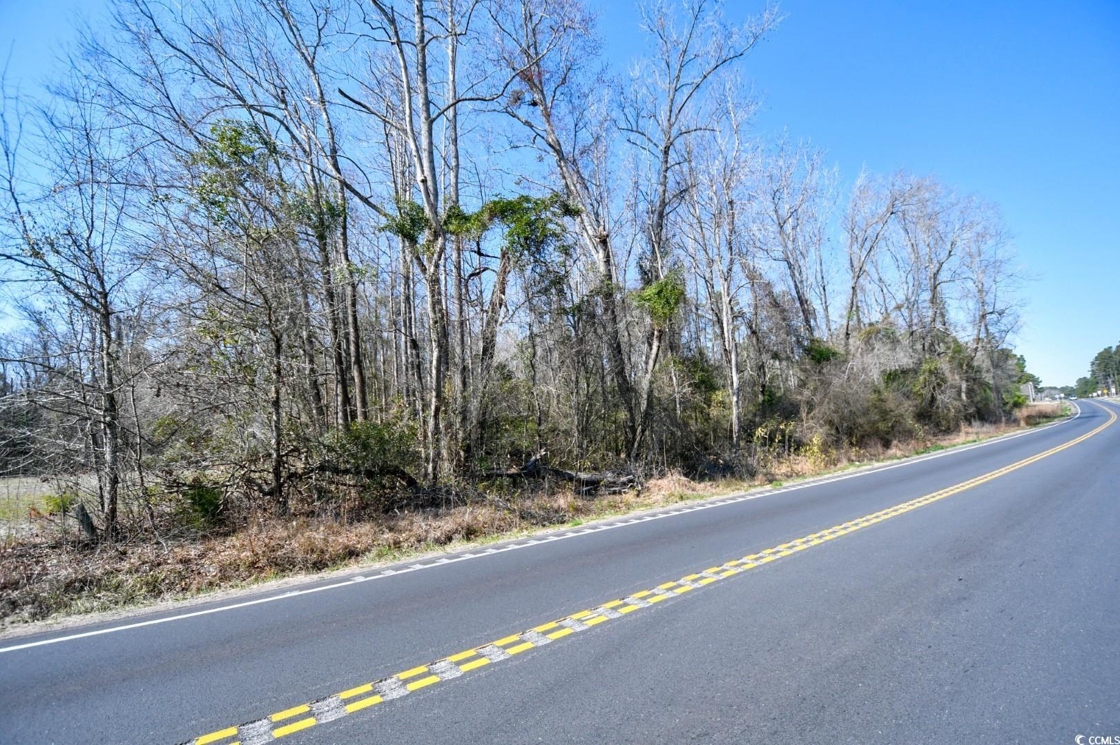 2940 Red Bluff Road Loris, SC 29569 - Photo 4 of 12