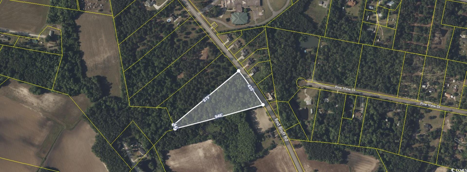 2940 Red Bluff Road Loris, SC 29569 - Photo 6 of 12