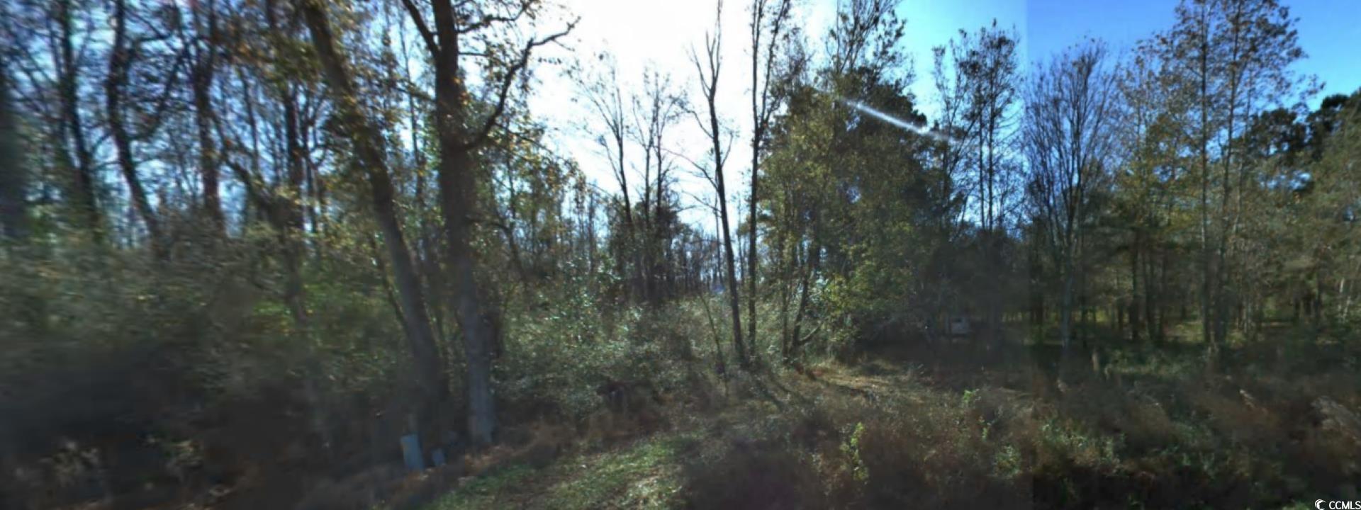 2940 Red Bluff Road Loris, SC 29569 - Photo 8 of 12