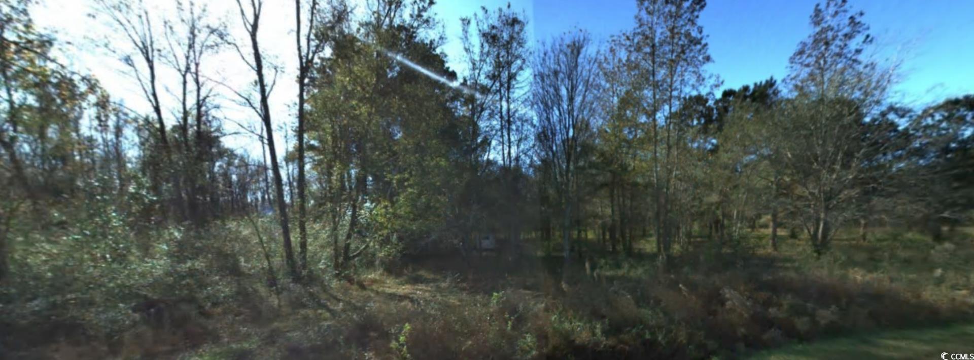 2940 Red Bluff Road Loris, SC 29569 - Photo 9 of 12