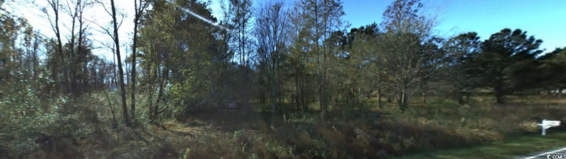 2940 Red Bluff Road Loris, SC 29569 - Photo 10 of 12