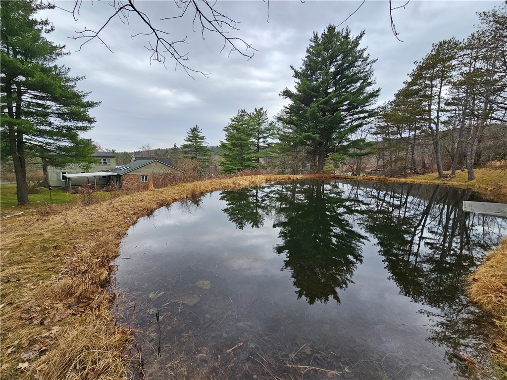 344 Hillcrest Road Big Flats, NY 14903 - Photo 10 of 45