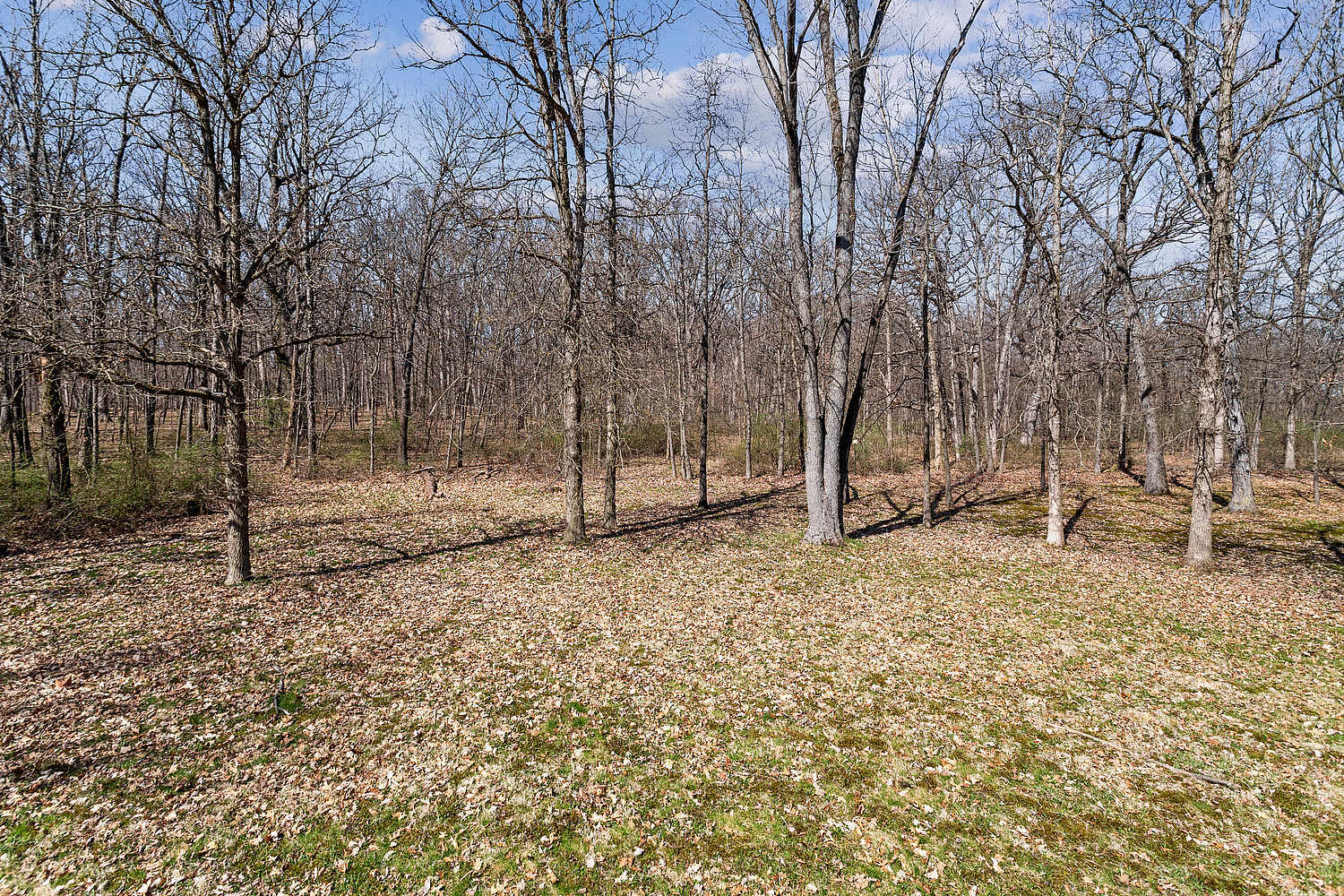 1839 Rainbow Lane Crete, IL 60417 - Photo 2 of 12