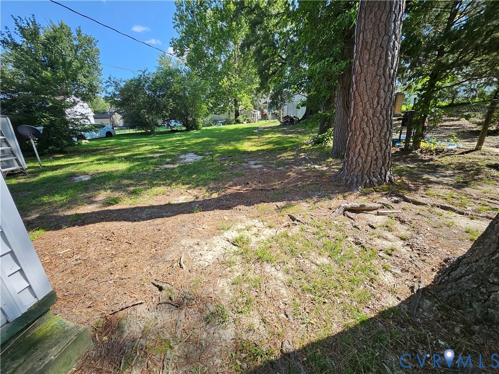 305 5th Street Blackstone, VA 23824 - Photo 12 of 12 a view of a yard with plants and large trees