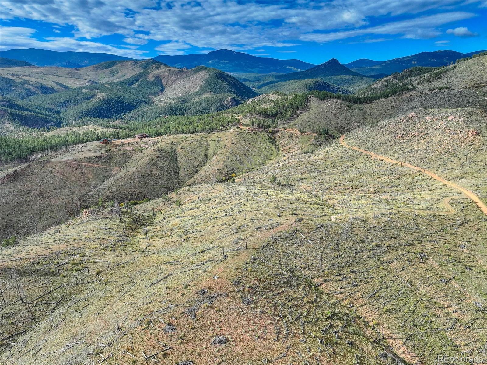 770 Holmes Gulch Way Bailey, CO 80421 - Photo 12 of 42 a view of ocean