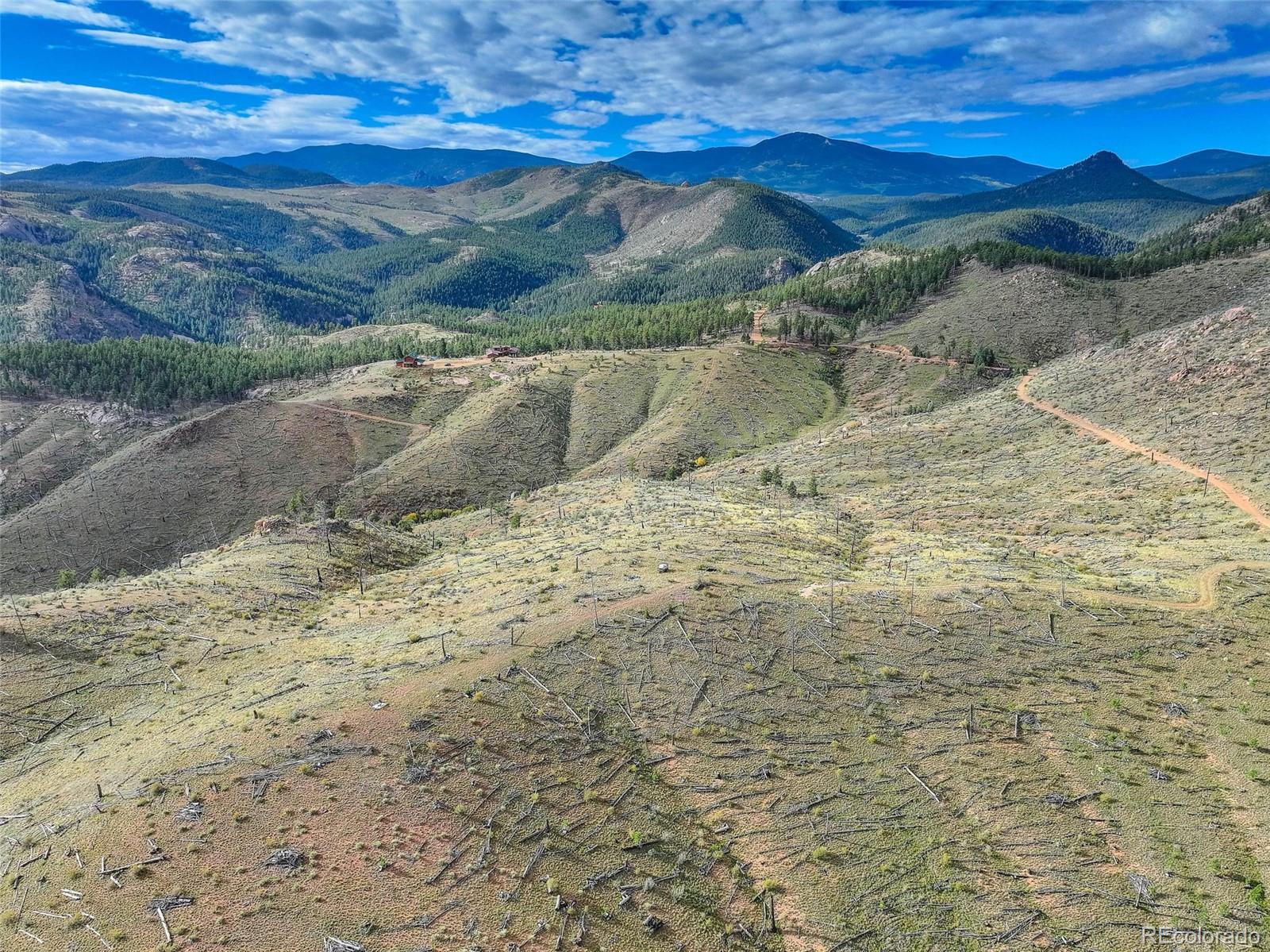 770 Holmes Gulch Way Bailey, CO 80421 - Photo 13 of 42